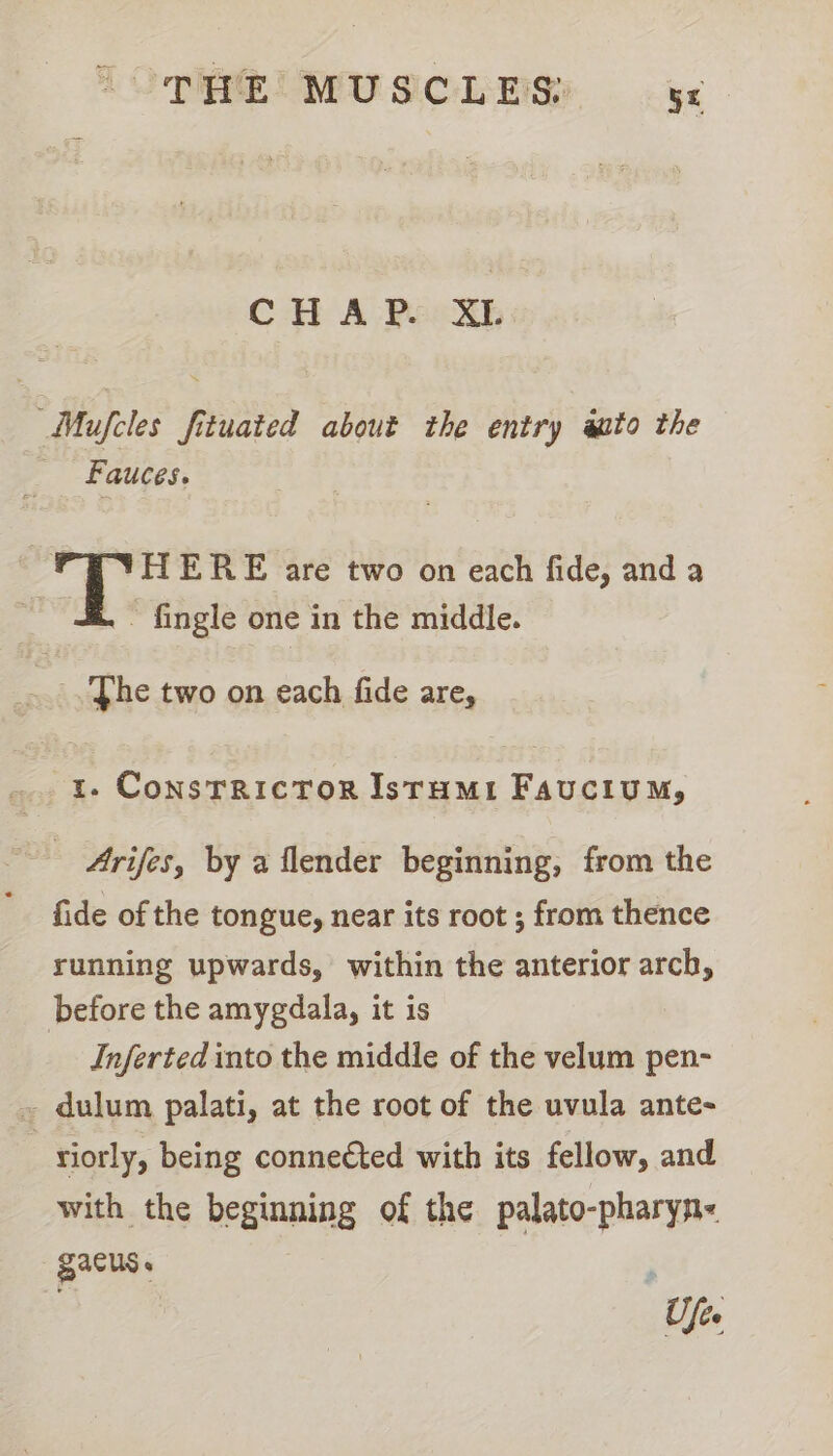 Mufcles fituated about the entry auto the — ~Fauces. BY HERE are two on each fide, and a - fingle one in the middle. _..'‘he two on each fide are, 1. ConstrictTor Istumi Faucium, Arifes, by a flender beginning, from the fide of the tongue, near its root ; from thence running upwards, within the anterior arch, before the amygdala, it is Inferted into the middle of the velum pen- ~ dulum palati, at the root of the uvula ante- | viorly, being connected with its fellow, and with the beginning of the palato-pharyn- Zacus. ; a