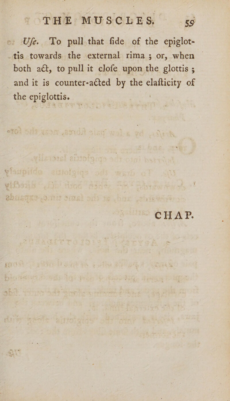 _ Use. To pull-that fide of the epiglot- _tis towards the external rima ; or, when © both a, to pull it clofe upon the glottis ; and it is counter-acted by the elafticity of the epiglottis.
