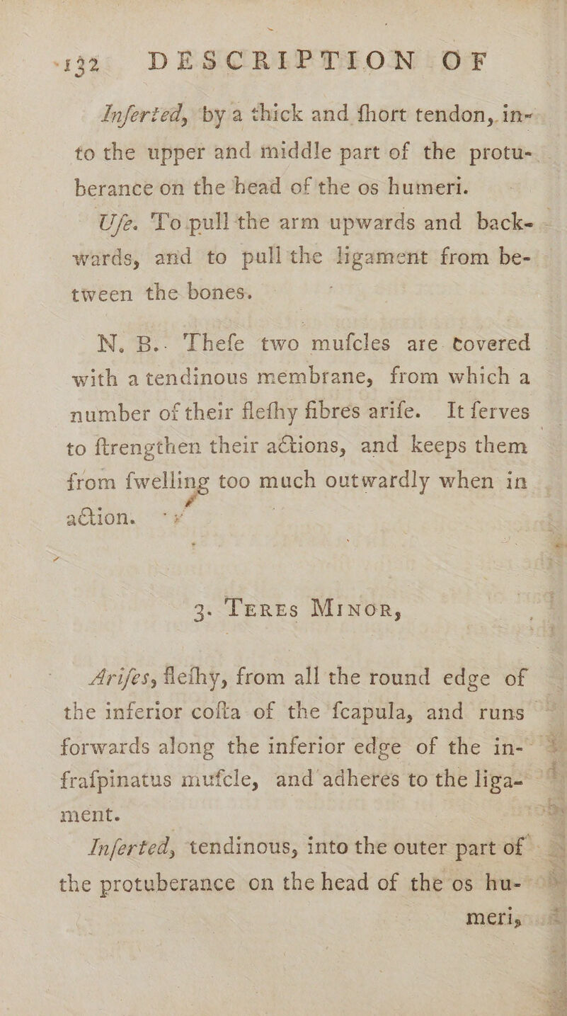 Inferted, by a thick and fhort tendon, in~ to the upper and middle part of the protu-. berance on the head of the os humeri. Uje. To pull the arm upwards and back- - wards, and to pullthe ligament from be- tween the bones. N. B.. Thefe two mufcles are tovered with a tendinous membrane, from which a number of their flethy fibres arife. It ferves to ftrengthen their actions, and keeps them | from fwelling too much outwardly when in aétion. °# ‘ 3. Teres Minor, Arifes, llethy, from all the round edge of the inferior cofta of the fcapula, and runs — forwards along the inferior edge of the in-~ frafpinatus mufcle, and adheres to the liga- — ment. . Inferted, tendinous, into the outer part of | the protuberance on the head of the os hu- ~ ¥ MELiy t