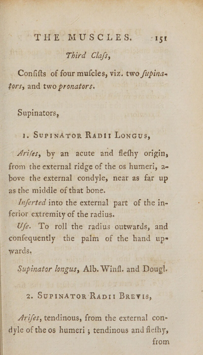 THE MUSCLES, &lt;-151 Third Clafs, Confifts of four mufcles, viz. two /upina- fors, and two pronators. Supinators, 1, SuprnATOoR Ravit Loneus, Arifes, by an acute and flefhy origin, bove the external condyle, near as far up as the middle of that bone. Inferted into the external part of the in- ferior extremity of the radius. Ufe. To roll the radius outwards, and confequently the palm of the hand ups wards. } Supinator longus, Alb. Winil. and Dougl. 2. SUPINATOR RapDri BREvVIs, Arifes, tendinous, from the external con- dyle of the os humeri ; tendinous and flethy, from