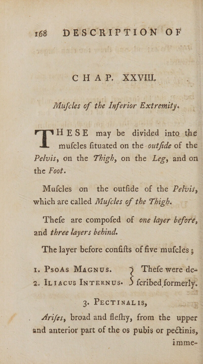 CHAP, XXVUL. Mufcles of the Inferior Extremity. &amp; i ESE may be divided into the mufcles fituated on thé outfde of the Pelvis, on the Thigh, on the Leg, and on the Foot. Mufcles on the outfide of the Pelvis, which are called Mu/cles of the Thigh. Thefe are compofed of one layer before, and three layers behind. | The layer before confifts of five mutfcleés ; 1. PsoAs Macunus. ) Thefe were de- 2. Inracus InrERNus. J fcribed formerly. 3. PECTINALIS, “ aries broad and flefhy, from the upper and anterior part of the os pubis or pectinis, imme-