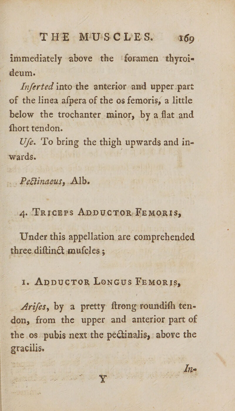 immediately above the ‘foramen thyroi« deum. _ Inferted into the anterior and upper.part of the linea afpera of the os femoris, a little below the trochanter minor, by a flat and fhort tendon. | : Ufe. ‘To bring the thigh upwards and in- wards. .. Peétinaeus, Alb. 4. Prreeps ADDUCTOR: FEMoRIs, Under this appellation are comprehended three diftinct mufcles ; 1. ApDUCTOR LonGus FEemoris, Arifes, by a pretty ftreng roundifh ten- don, from the upper and anterior part of _ the os. pubis next the pectinalis, above the gracilis.