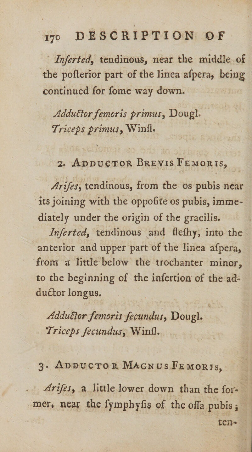 | Inferted, tendinous, near the middle. of the pofterior part of the linea afpera, being continued for fome way down. Adduttor femoris primus, Dougl. Triceps primus, Winil. 2, AppucToR Brevis Femoris, Arifes, tendinous, from the os pubis near ‘its joining with the oppofite os pubis, imme- diately under the origin of the gracilis. Inferted, tendinous and flefhy; into the anterior and upper part of the linea afpera, from a little below the trochanter minor, to the beginning of the infertion of the ad- ductor longus. Adduttor femoris fecundus, Dougl. | Triceps fecundus, Winil. 3. ADppucToR MAcnus Femoris, Arifes, a little lower down than the for: 3 mer. near the fymphyfis of the offa pubis ; | ten=