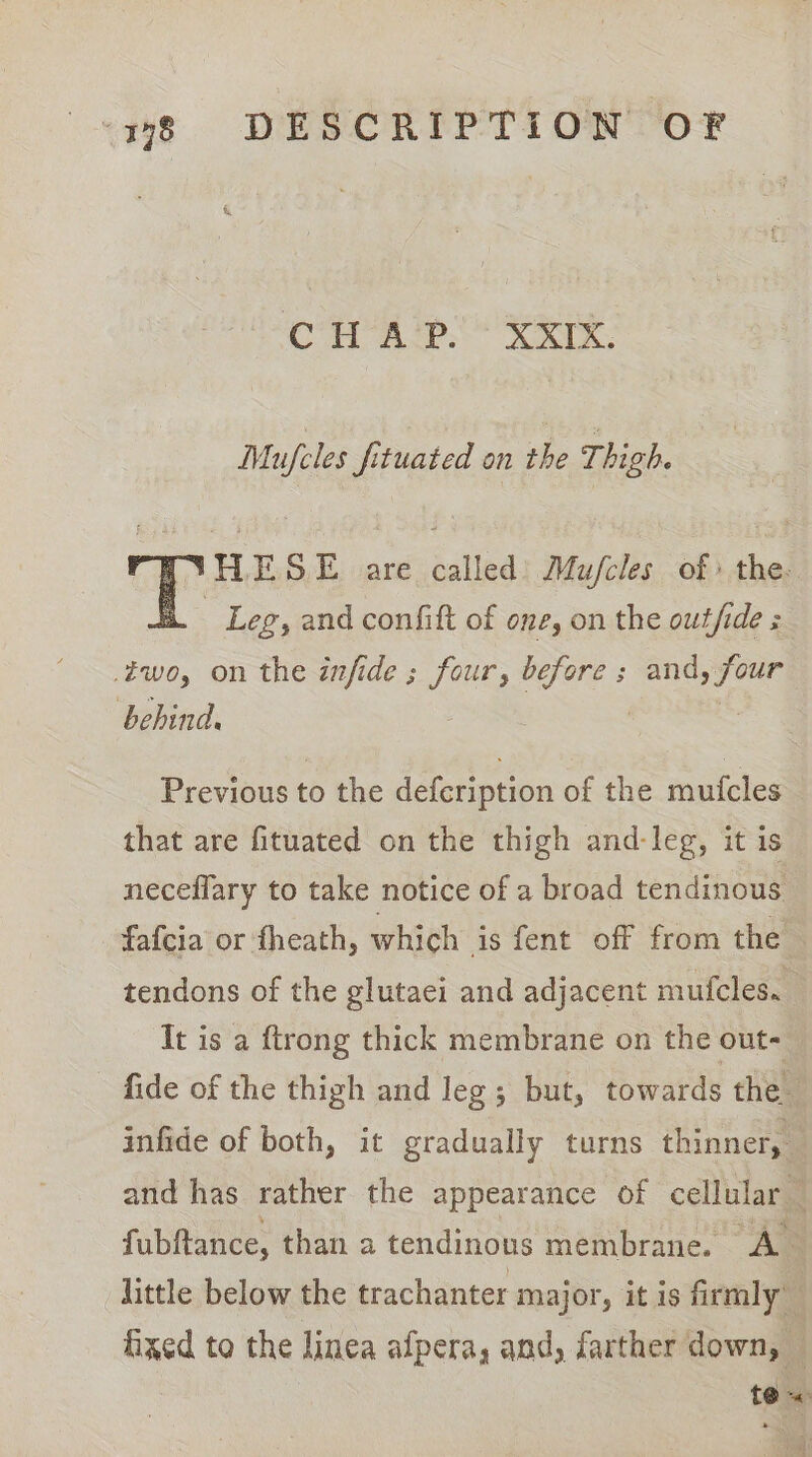 CH ALP” KRU Mufcles fituated on the T, high. HE Leg, and confift of one, on the out/fide : two, on the infide ; four, before ; and , four behind. . Previous to the defcription of the mutfcles that are fituated on the thigh and-leg, it is and has rather the appearance of cellular —