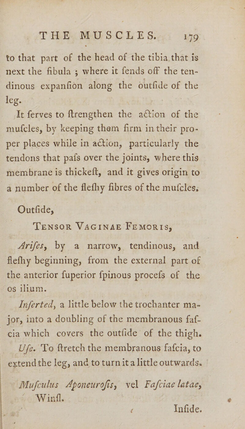 to that part of the head of the tibia that is next the fibula ; where it fends off the ten- dinous expanfion along the outfide of the leg. It ferves to ftrengthen re action of the mufcles, by keeping them firm in their pro- per places while in action, particularly the tendons that pafs over the joints, where this membrane is thickeft, and it gives origin to’ a number of the flefhy fibres of the mufcles. Outfide, TENSOR VAGINAE FEmoRIs, Arifes, by a narrow, tendinous, and | flefhy beginning, from the external part of the anterior fuperior fpinous procefs of the os ilium. : Inferted, a little below the trochanter ma- jor, into a doubling of the membranous faf- cia which covers the outfide of the thigh. Use. To ftretch the membranous fafcia, to extend the leg, and to turn ita little outwards. : » Mufculus Aponeurofis, ~ Fafciae latae, | ~ Winll. é Infide.