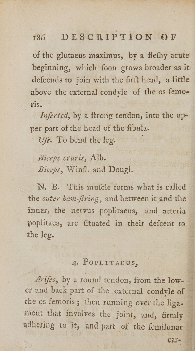 of the glutaeus maximus, by a flefhy acute beginning, which foon grows broader as it defcends to join with the firft head, a little above the external condyle of the os femo- TiS. : Inferted, by a ftrong tendon, into the up- per part of the head of the fibula. Ujfe. To bend the leg. Biceps cruris, Alb. Biceps, Winfl. and Dougl. N. B. This mufcle forms what is called the outer ham-ftring, and between it and the inner, the nervus poplitaeus, and arteria poplitaea, are fituated in their defcent to — the leg. 4. PopLITAEUS, Arifes, by a round tendon, from the low- &lt; er and back part of the external condyle of ~ the os femoris ; then running over the liga. ment that involves the joint, and, firmly — adhering to it, and part of the femilunar { Cars } Ae SO EA eh ad oe sia Beas SP Lest er} Pam a