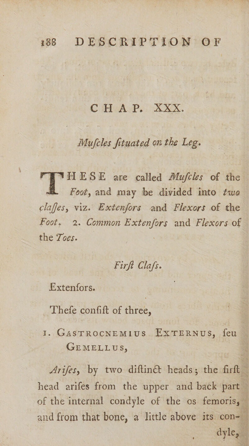CiHyALP. : AXX. Mufcles fituated on the Leg. YHESE are called Mu/fcles of the Foot, and may be divided into ¢wa claffes, viz. Extenfors and Flexors of the Foot. 2. Common Extenfors and Flexors of the Joes. Firft Clafs. Extenfors. | Thefe confift of three, 1. GaSTROCNEMIUS. EXTERNUS, feu GEMELLUS, dylege &gt; ak wer Shee