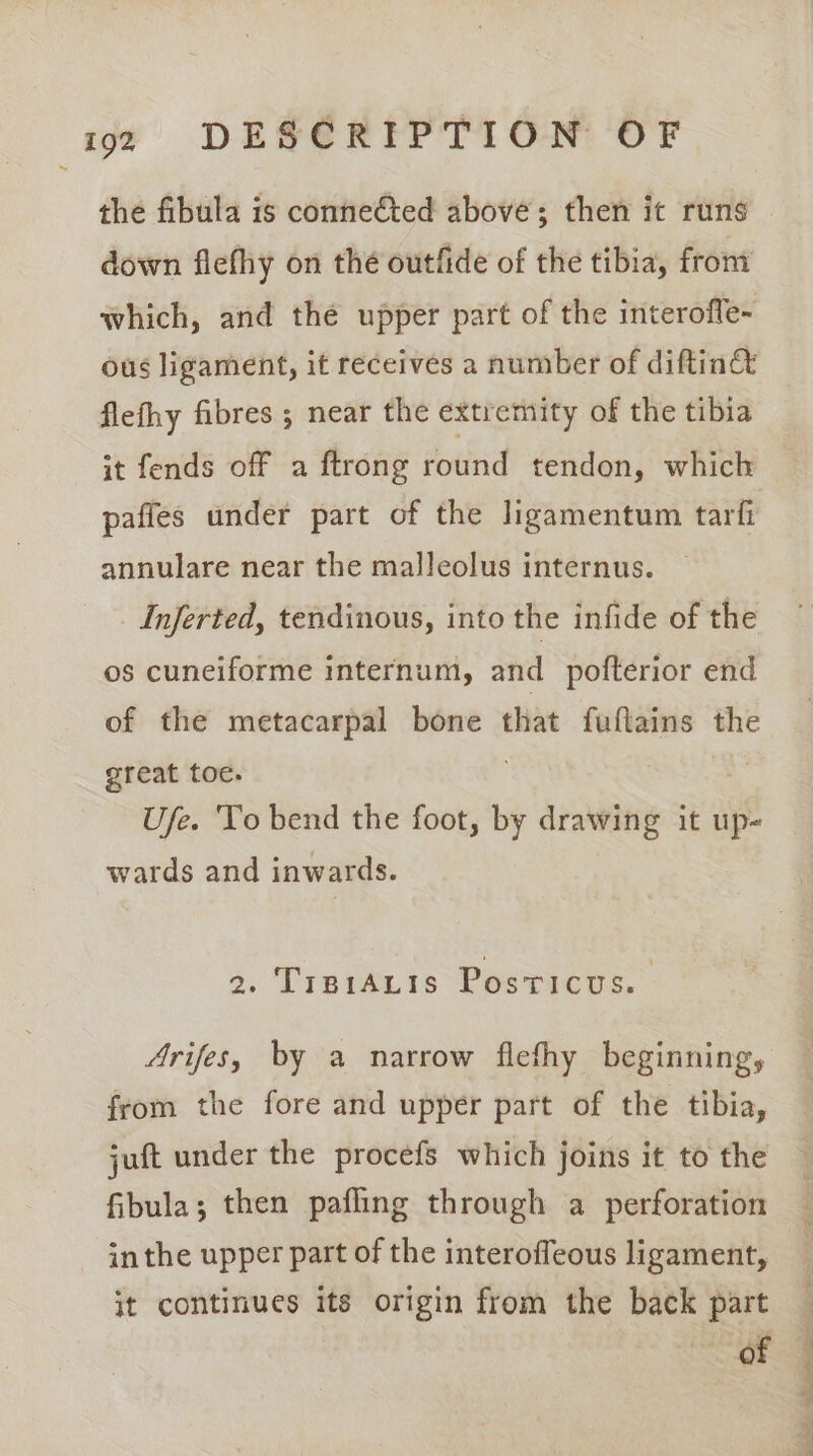 the fibula is connected above; then it runs down flefhy on thé outfide of the tibia, from which, and thé upper part of the interofle- ous ligament, it receives a number of diftin&amp; flefhy fibres ; near the extremity of the tibia it fends off a ftrong round tendon, which paffes under part of the ligamentum tarfi annulare near the malleolus internus. Inferted, tendinous, into the infide of the os cuneiforme internum, and pofterior end of the metacarpal bone that fuflains the great toe. | Ufe. To bend the foot, by drawing it up- wards and inwards. 2. Tipr1Auis Posticws. Arifes, by a narrow fiefhy beginning, from the fore and upper part of the tibia, jut under the procefs which joins it to the fibula; then pafling through a perforation inthe upper part of the interoffeous ligament, it continues its origin from the back part