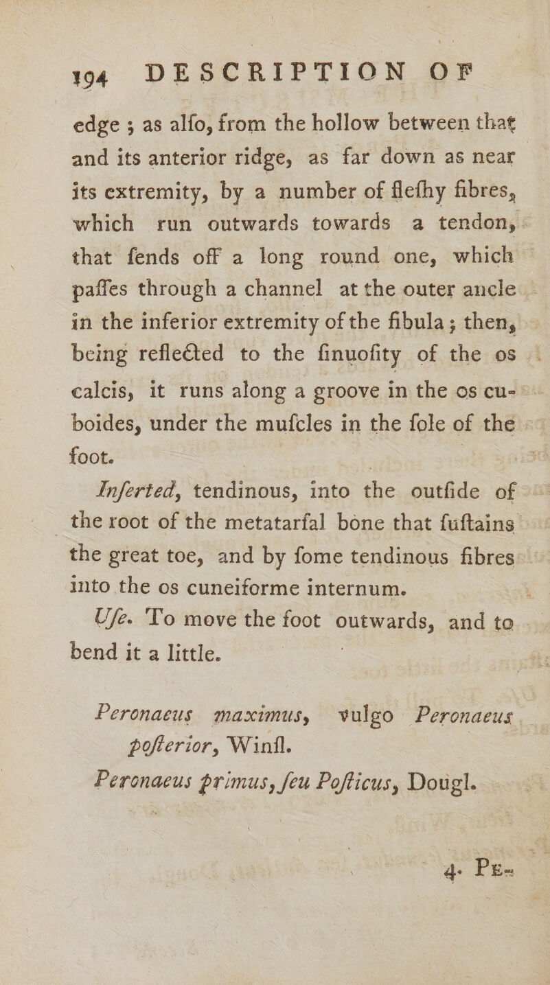 edge ; as alfo, from the hollow between that and its anterior ridge, as far down as near its extremity, by a number of flefhy fibres, which run outwards towards a tendon, that fends off a long round one, which paffes through a channel at the outer ancle in the inferior extremity of the fibula; then, being refleted to the finuofity of the os calcis, it runs along a groove in the os cu- boides, under the mufcles in the fole of the » foot. 7 | . Inferted, tendinous, into the outfide of _ the root of the metatarfal bone that fuftains the great toe, and by fome tendinous fibres’. into the os cuneiforme internum. Ufe. To move the foot outwards, and to bend it a little. Peronaeus maximus, vulgo Peronaeus pofterior, Winfl. Peronaeus primus, feu Pofticus, Dougl. or Peas