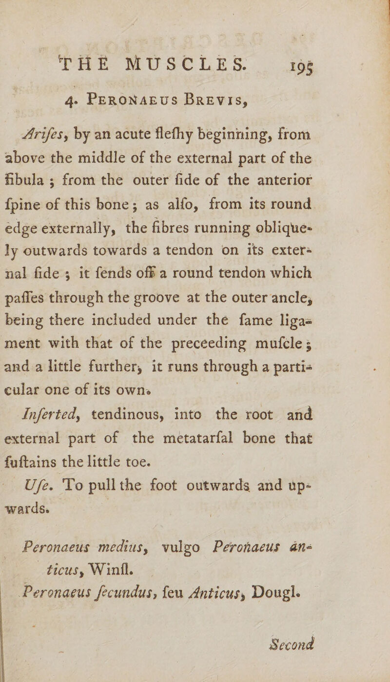 4. PERONAEUS Brevis, Arifes, by an acute flefhy beginning, from above the middle of the external part of the fibula ; from the outer fide of the anterior {pine of this bone; as alfo, from its round edge externally, the fibres running oblique- ly outwards towards a tendon on its exter- nal fide ; it fends off a round tendon which pafies through the groove at the outer ancle, being there included under the fame ligas ment with that of the preceeding mufcle 3; and a little further, it runs through a parti- cular one of its owns Inferted, tendinous, into the root and external part of the metatarfal bone that fuftains the little toe. Ufe. To pullthe foot outwards and up- wards. | Peronaeus medius, vulzo Peronaeus an- _ticus, Winil. Peronaeus fecundus, feu Anticus, Dougl. 5 ec ond