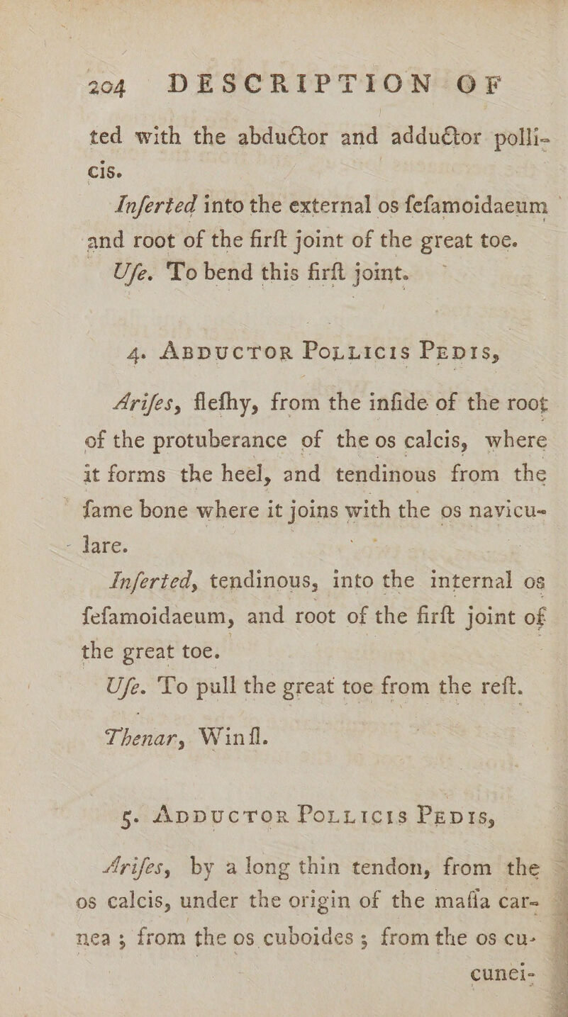 ted with the abductor and addudtor polli- Cis. 7 Inferted into the external os fefamoidaeum © and root of the firft joint of the great toe. U/e. To bend this firft joint. 4. AppucToR Poy.icis Pepts, Arifes, flefhy, from the infide of the root of the protuberance of the os calcis, where it forms the heel, and tendinous from the fame bone where it joins with the os navicu- -. date, | oe Inferted, tendinous, into the internal os fefamoidaeum, and root of the firft joint of the great toe. | Use. To pull the great toe from the reft. Thenar, Winil. 5. AppucToR Po.tticis Penis, Arifes, by along thin tendon, from the ~ os calcis, under the origin of the mafia car- © nea; from the os cuboides ; fromthe os cu- cunci- —