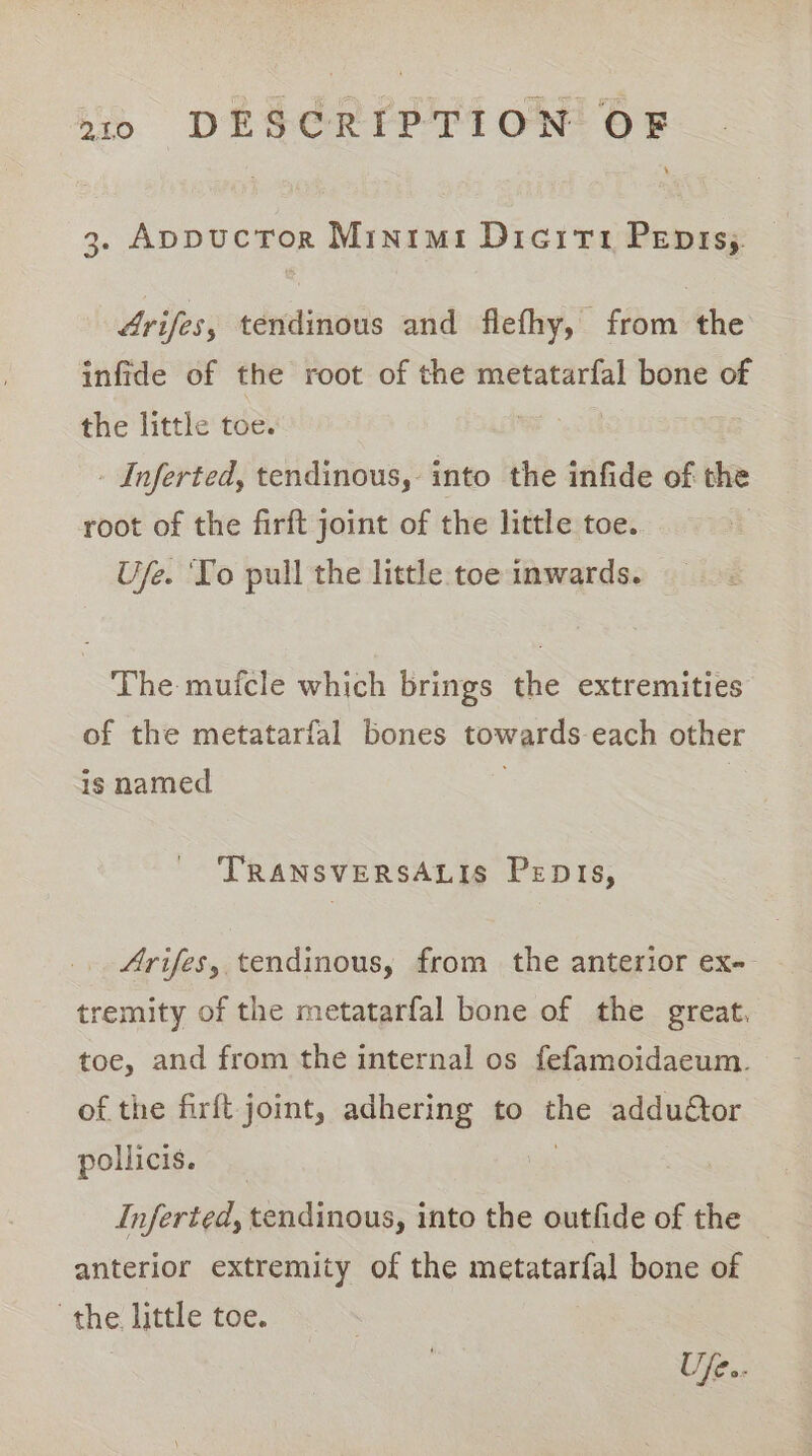 3. AppucTor Minimi Dicrrt Pepis;. 4rifes, tendinous and flefhy, from the infide of the root of the metatarfal bone of the little toe. . - Inferted, tendinous, into the infide of the root of the firft joint of the little toe. Uje. ‘Yo pull the little toe inwards. The mufcle which brings the extremities of the metatarfal bones towards each other is named TRANSVERSALIS Penis, Arifes, tendinous, from the anterior ex- remity of the metatarfal bone of the great, toe, and from the internal os fefamoidaeum. of the firft joint, adhering to oe addu€tor pollicis. Inferted, tendinous, into the outfide of the anterior extremity of the biecate dal bone of the little toe. Ufe..