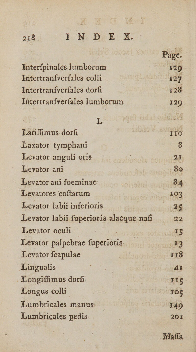Interfpinales lumborum Intertranfverfales colli Intertranfverfales dorfi Intertranfverfales lumborum L Latifimus dori Laxator tymphani Levator anguli oris Levator ani Levator ani foeminae Levatores coftarum Levator labii inferioris Levator labii fuperioris alaeque nafi Levator ocull Levator palpebrae fuperioris. Levator {capulae Lingualis Longiffimus dorfi Longus colli Lumbricales manus: Lumbricales pedis: