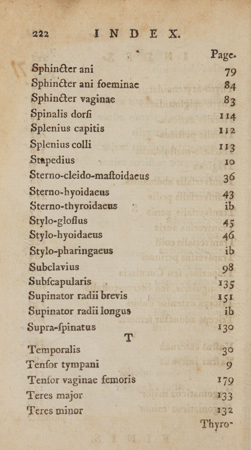 * _ Sphinéer ani _Sphin@ter ani foeminae Sphincter vaginae Spinalis dorfi mplenius capitis Splenius colli Stapedius Sterno-cleido-maftoidaeus -Sterno-hyoidaeus | Sterno-thyroidaeus Stylo-glofius Stylo-hyoidaeus _ Stylo-pharingaeus Subclavius Subjfcapularis Supinator radii brevis Supinator radii longus . Supra-fpinatus Temporalis ‘Tenfor tympani Tentor vaginae femoris ‘Teres major Teres minor 114 1i2 113