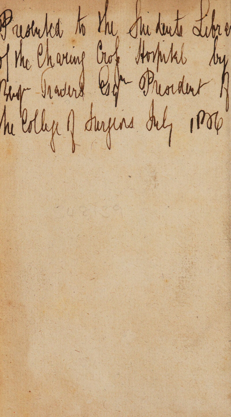 No text description is available for this image