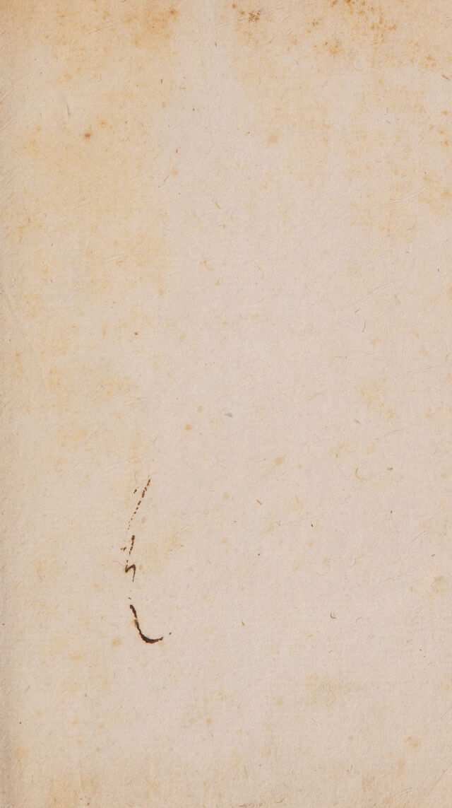 digitised image 3