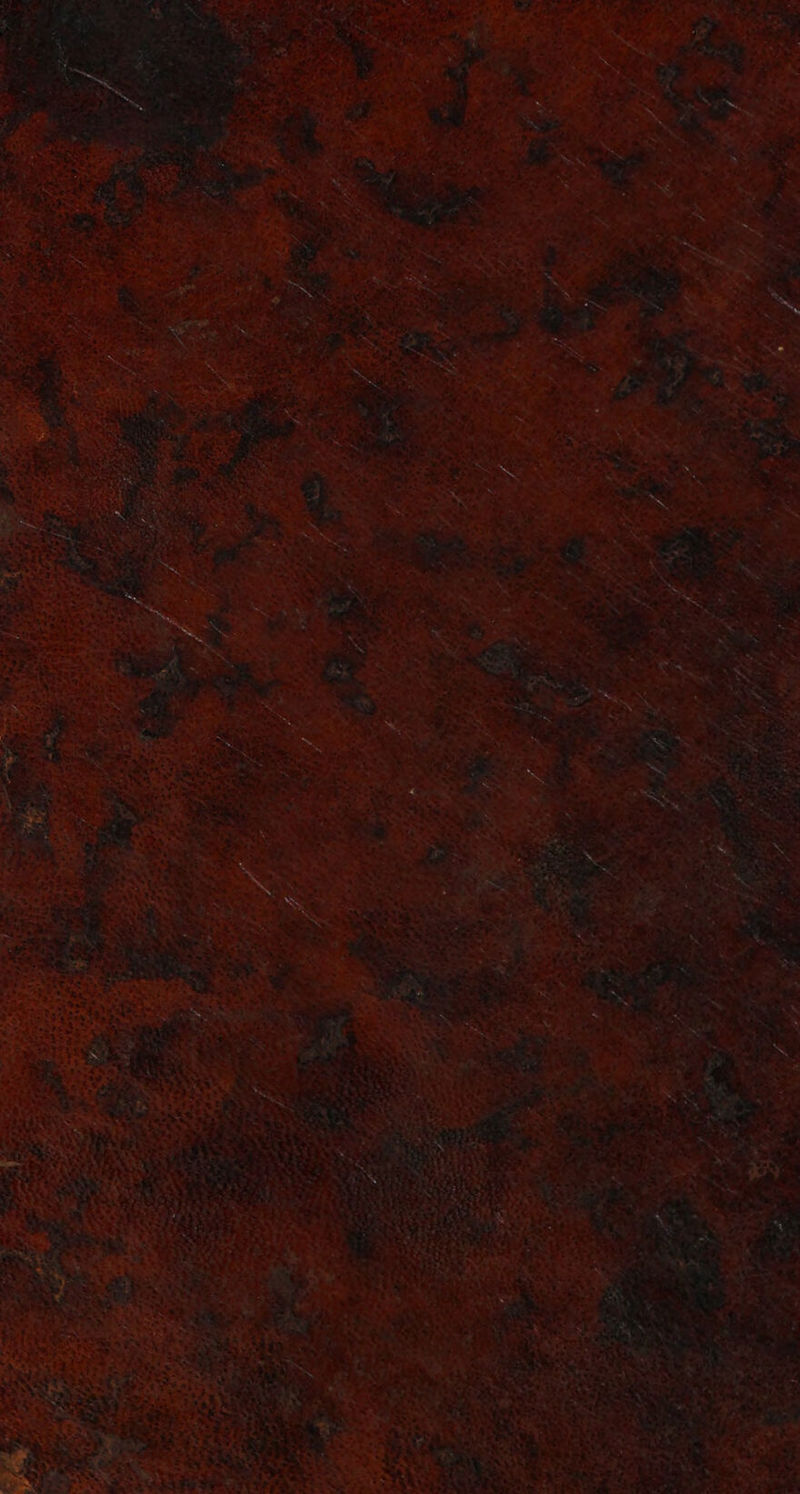 No text description is available for this image