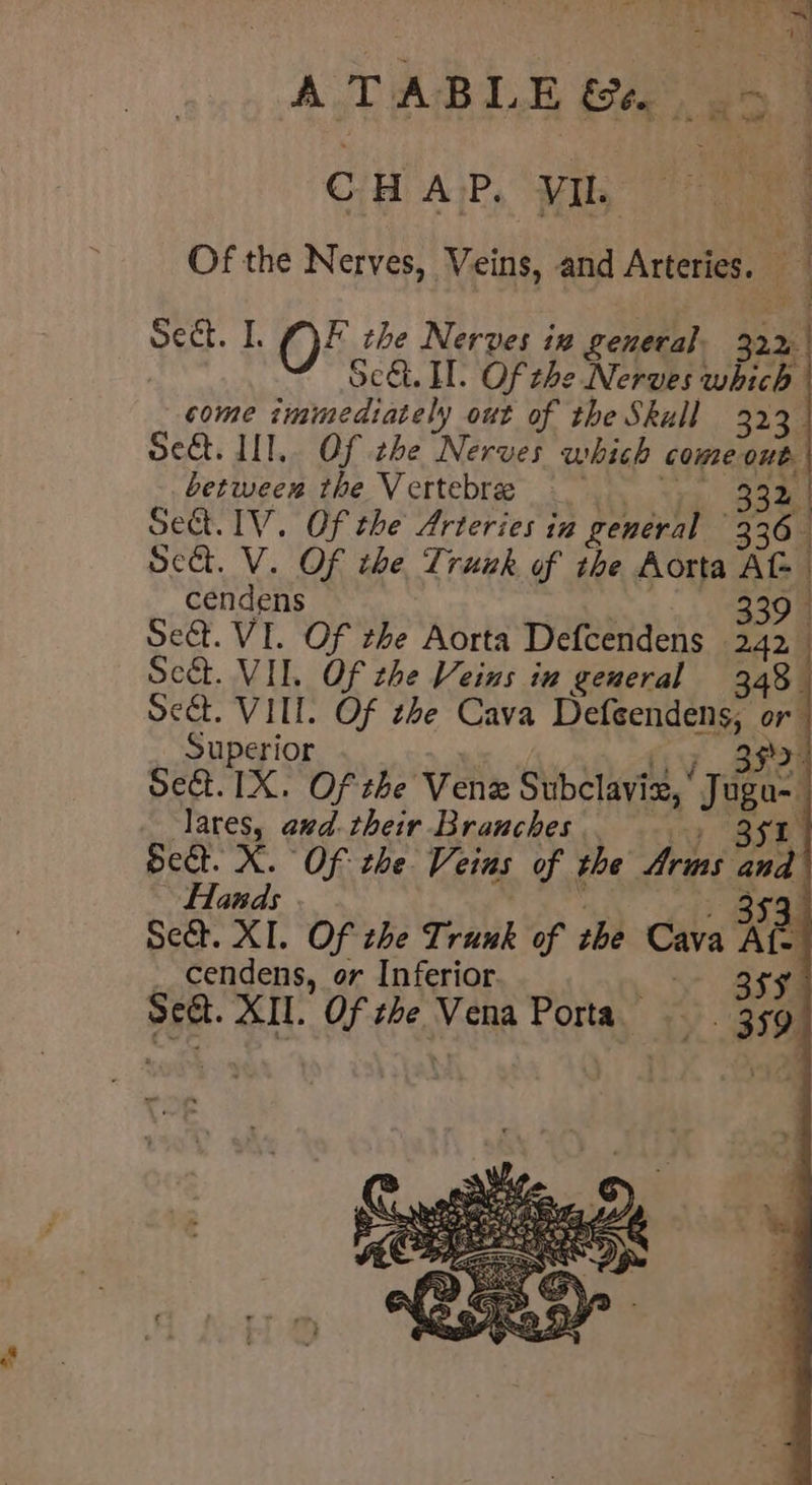 CHAP, VIL. | Of the Nerves, Veins, and Arteries. : | Sect. I. Of the Nerves in general. 322 Sc&amp;. I. Of the Nerves which come immediately out of the Skull 323. Sect. IIl.. Of zhe Nerves which come out between the Vertebre 333 | Set. IV. Of the Arteries in general 336 Sect. V. Of the Trunk of the Aorta At= cendens ee Sect. VI. Of the Aorta Defcendens 242 Sect. VII, Of the Veins inv general 348 sett. VIIE. Of the Cava Defeendens, or Superior , ty LF BRON set. IX. Of the Venz Subclaviz, Jugu- dares, and. their Branches. ,,_- 351 Sect. X. Of the Veins of the Arms and Hands be he cit Ste Sect. XI. Of the Trunk of the Cava At cendens, or Inferior. | x Bie Sect. XII. Of the Vena Porta ey.