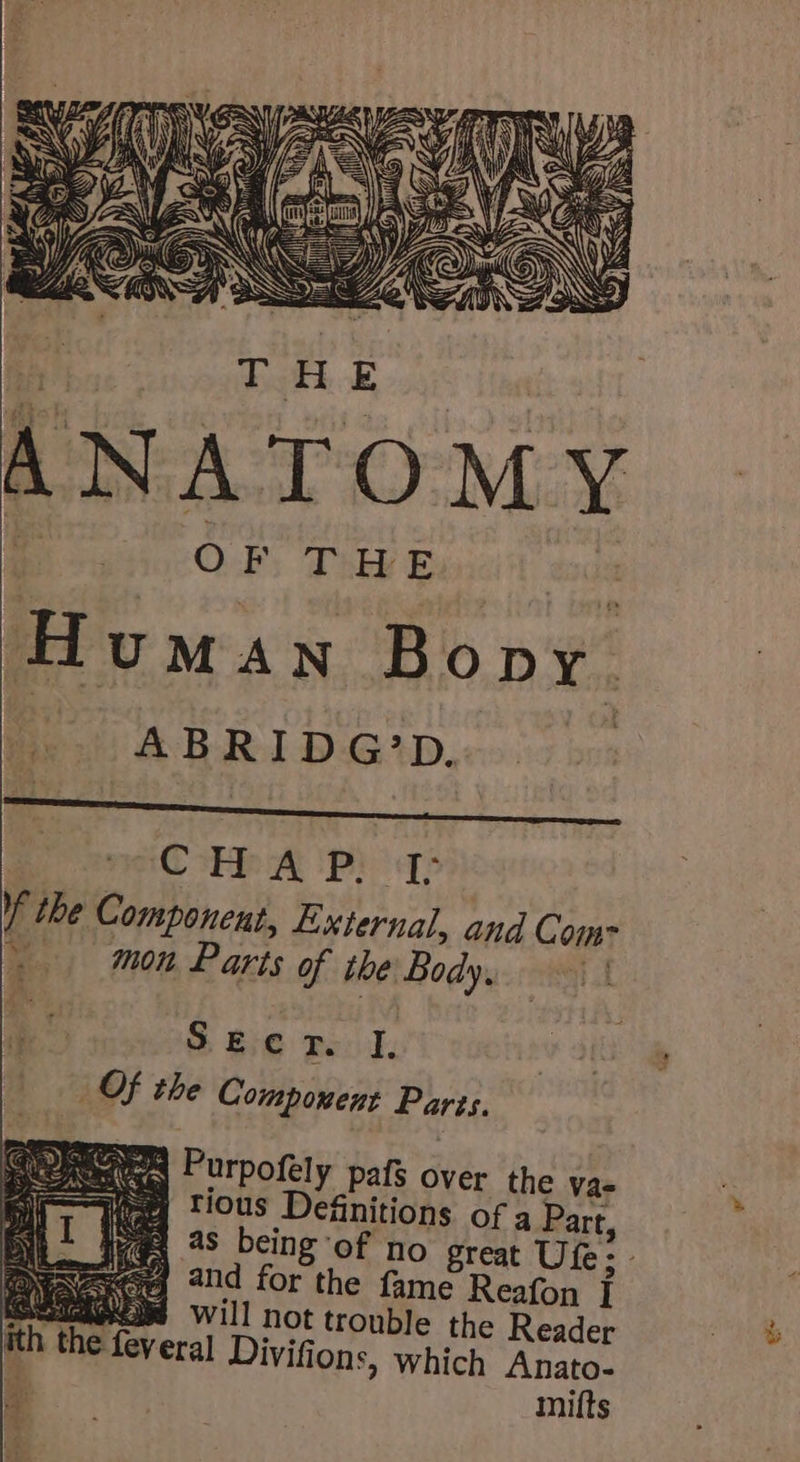 y iy = See-Ta) ; &gt;) Niemi (&lt;y ) Settle i. &lt;—S . SIL tf ME : OF THE ! Human Bony. He: ABRIDG'*D, | CHAP. I; f the Component, External, and Com ~~ -mon Parts of the Body, &amp; Bie peo. OF the Component Parts. Seed Purpofely pafs over the va- eg ‘ious Definitions of a Part, Nexeeee nd for the fame Reafon I SSSEARO will not trouble the Reader ith the feveral Divifions, which Anato- nd mifts cf } :