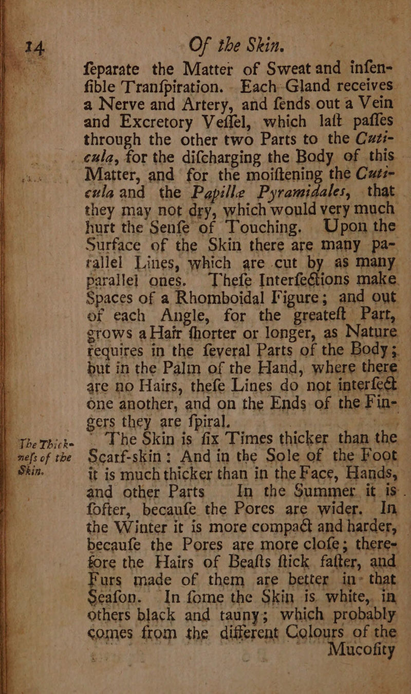 | Of the Skin. fis feparate the Matter of Sweat and infen- fible Tranfpiration. . Each-Gland receives a Nerve and Artery, and fends out a Vein © and Excretory Veflel, which lait pafles through the other two Parts to the Cazi- . exla, for the difcharging the Body of this Matter, and for the moiftening the Catz czlaand the Pgpille Pyramidales, that they may not dry, which would very much hurt the Senfe of Touching. Upon the Surface of the Skin there are many pa- rallel Lines, which are cut by aS many — parallel ones. Thefe Interfeétions make. Spaces of a Rhomboidal Irigure; and out of each Angle, for the ‘greateft Part, — grows a Hair shorter or longer, as Nature — requires in the feyeral Parts of the Body; but in the Palm of the Hand, where there are no Hairs, thefe Lines do not interfect one another, and on the Ends of the Fin- | gers they are {piral. : ar | thethicke . Phe Skin is fix Times thicker than the | nefsof roe Scarf-skin: And in the Sole of the Foot Skin. it is much thicker than in the Face, Hands, | and other Parts In the Summer. it is. fofter, becaufe the Pores are wider. In the Winter it is more compact and harder, — becaufe the Pores are more clofe; there- fore the Hairs of Beafts ftick falter, and Furs made of them are better in- that Seafon. In fome the Skin is. white, in others black and tauny; which probably comes from the diiferent Colours of the herent ° ops ~ Maucofity