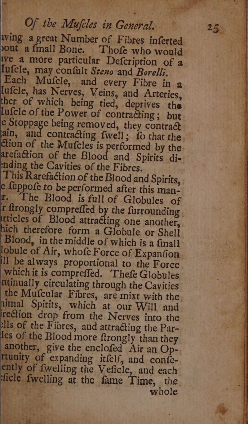 aving agreat Number of Fibres inferted ive a more particular Defcription of a fufcle, may confult Stezoand Borelli. Each Mufcle, and every Fibre in a lufcle, has Neryes, Veins, and Arteries, ther of which being tied, deprives the lufcle of the Power of contracting; but € Stoppage being removed, ‘they contraé arefaction of the Blood and Spirits di- nding the Cavities of the Fibres. This Rarefaétion of the Blood and Spirits, e fuppofe to be performed after this man- t. The Blood is full of Globules of itticles of Blood attracting one another, Blood, in the middle of which is a mall ill be always proportional to the Force which it is compreffed. Thefe Globules Ntinually circulating through the Cavities the Mufcular F ibres, are mixt with the aimal Spirits, which at our Will and rection drop from the Nerves into the lls of the Fibres, and attracting the Par- les of the Blood more ftrongly than they another, give the enclofed Air an Op- ttunity of expanding itfelf, and confe- ently of {welling the Veficle, and each ficle {welling at the fame Time, | De ia in >. whole ene Sngety OR ’ * +. a ee a ; Ke Bon 0.5/5 ak eek oy ae ‘ pee he 3° tie » .