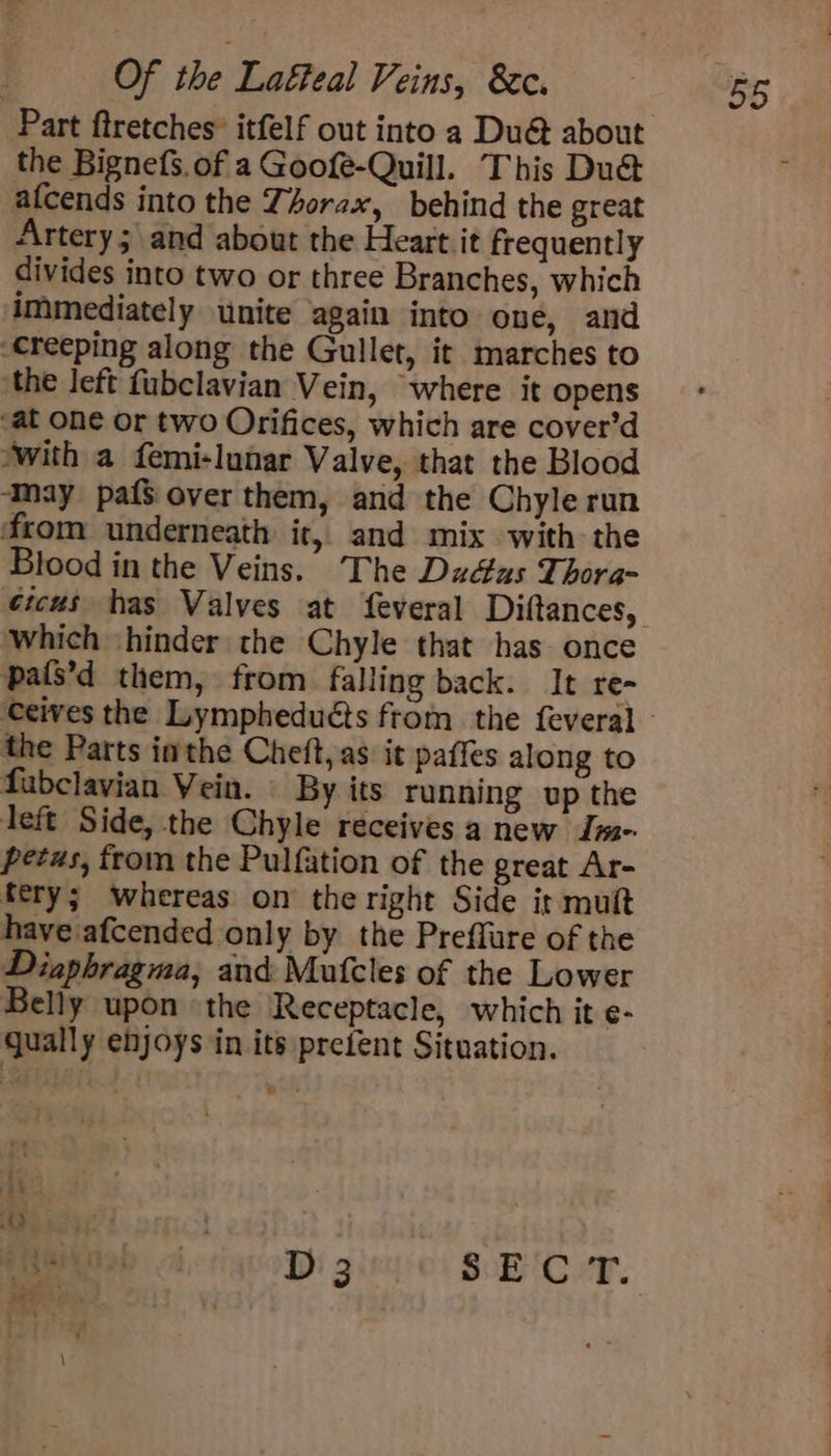 Part ftretches® itfelf out into a Du@ about the Bignefs. of a Goofe-Quill. This Du& afcends into the Thorax, behind the great Artery ;\and about the Heart it frequently divides into two or three Branches, which immediately unite again into one, and “Creeping along the Gullet, it marches to ‘the left fubclavian Vein, where it opens ‘at one or two Orifices, which are cover’d with a femi-lunar Valve, that the Blood ‘may paf$ over them, and the Chyle run from underneath it, and mix with the Blood in the Veins. The Dudas Thora- Which hinder the Chyle that has. once pais’d them, from falling back. It re- the Parts inthe Cheft, as it paffes along to fubclavian Vein. | By its running up the left Side, the Chyle receives a new Im- petus, from the Pulfation of the great Ar- fery; whereas on the right Side it muit have afcended only by the Preffure of the Diaphragma, and Mutfcles of the Lower Belly upon the Receptacle, which it e- qually enjoys in its prefent Situation. Pi 3 LS) Ot Oy