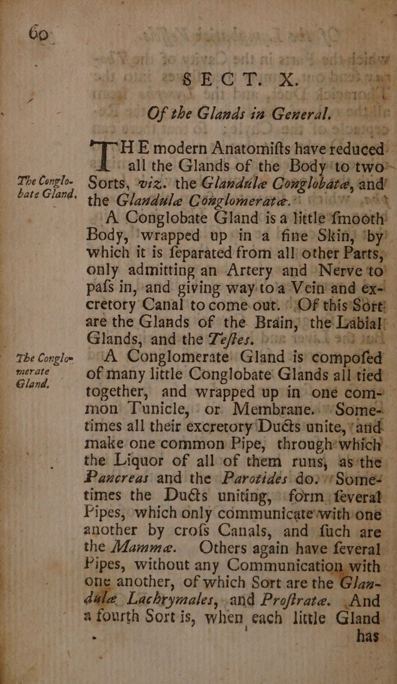 The Conglo- bate Gland, The Conglo= merate Gland. ayy MIRE dal zit: ork Ng RC TK sodas ve xii tu Su JouG, domes Of the Glands in General, © sit, HE modern Anatomifts have reduced all the Glands of the Body‘to two Sorts, viz. the Glandile Conglobata, and’ the Glaudule Conglomerate.’ 9 2% A Conglobate Gland is a little fmooth Body, ‘wrapped up ina fine Skin, ‘by’ which it is feparated from all other Parts, only admitting an Artery and Nerve to’ pafs in, and giving way:to'a Vein’ and ex-| cretory Canal to come-out. © Of this’Sorti are the Glands of the Brain, the! Labial) . Glands, and the Teffes. v8 (a. 902 Iu A Conglomerate: Gland is compofed of many little Conglobate: Glands all tied together, and wrapped up in oné com= mon Tunicle, or Membrane.:’Some- times all their excretory‘Duéts unite, ‘and. make one common Pipe, through’ which the Liquor of allvof them runs, as:the. Paxcreas and the Parotides do} *Somes times the Duéts uniting, form: feveral Pipes, which only communicate’with one another by crofs Canals, and fuch are the Mamme. Others again have feveral Pipes, without any Communication with one another, of which Sort are the Glan- — die Lachrymales,.and Proftrate. And : has _