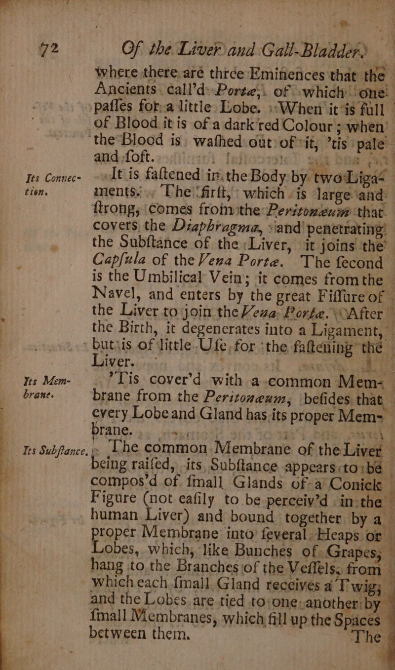 ‘ i? « Where there aré thrce Eminenices that the Ancients call’dPorte;. of swhich one! of Blood it is of a dark‘red Colour; when’ Its Connec- tien, and foft. ii Iefloovan.?. sak Bam fa It is faltened ir, the Body by twoduigas ments... The \firlt, which is large and. {trong, comes froin ithe Peritomienim that covers the Diaphragma, :'and' penetrating’ the Subftance of the ;Liver, it joins the’ Capfula of the Vena Porte. The fecond is the Umbilical Vein; it comes fromthe © Navel, and enters by the great Fiffure of | the Liver to join the Veua: Porke. After  4 the Birth, it degenerates into a Ligament, Its Mem- brane. _ Its Subfiance. Liver. i ; aa 3 {th 3 S844 . [he common Membrane of the Liver eing raifed, its, Subftance appears:toibe ; compos’d of fmall Glands of- a Conick — human Liver) and bound together by a proper Membrane: into’ feveral, Heaps or — j i : ae which each fimall, Gland receives a’ T wig; and the Lobes are tied to:one, another: by. {mall Membranes, which fill up the Spaces between them. ‘The