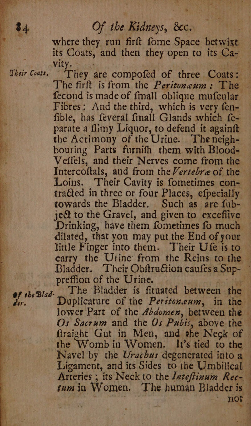 Hh «84 Of the Kidneys, &amp;c. ig where they run firft fome Space betwixt its Coats, and then they open to its Ca- E Vity. = . ra “Their Coats. They are compofed of three Coats: — The firft is from the Peritoreum: The — fecond is made of fmall oblique mufcular : Fibres: And the third, which is very fen- . fible, has feveral fmall Glands which fe- ; parate a flimy Liquor, to defend it againft q the Acrimony of the Urine. The neigh- ' bouring Parts furnifh them with Blood- Veflels, and their Nerves come from the Intercoftals, and from the Vertebre of the Loins. Their Cavity is fometimes con- — F tracted in three or four Places, efpecially — : towards the Bladder. Such as are fub- i ject to the Gravel, and given to exceflive Drinking, have them fometimes fo much dilated, that you may put the End of your little Finger into them. Their Ufe is to carry the Urine from the Reins to the © Bladder. Their ObftruGtion caufesa Sup- ~ preffion of the Urine. ee ef sbeBlad-_ Lhe Bladder is fituated between the a Duplicature of the Peritozenm, in the i lower Part of the Abdomen, between the — 7 Os Sacrum and the Os Pxbis, above the — firaight Gut in Men, and the Negk of | the Womb in Women. It’s tied to the — Navel by the Urachus degenerated into a — ‘Ligament, and its Sides to the Umbilical — Arteries ; its Neck to the Juteftinum Rec- taumin Women, ‘The human Bladder is — . ~ not) 108