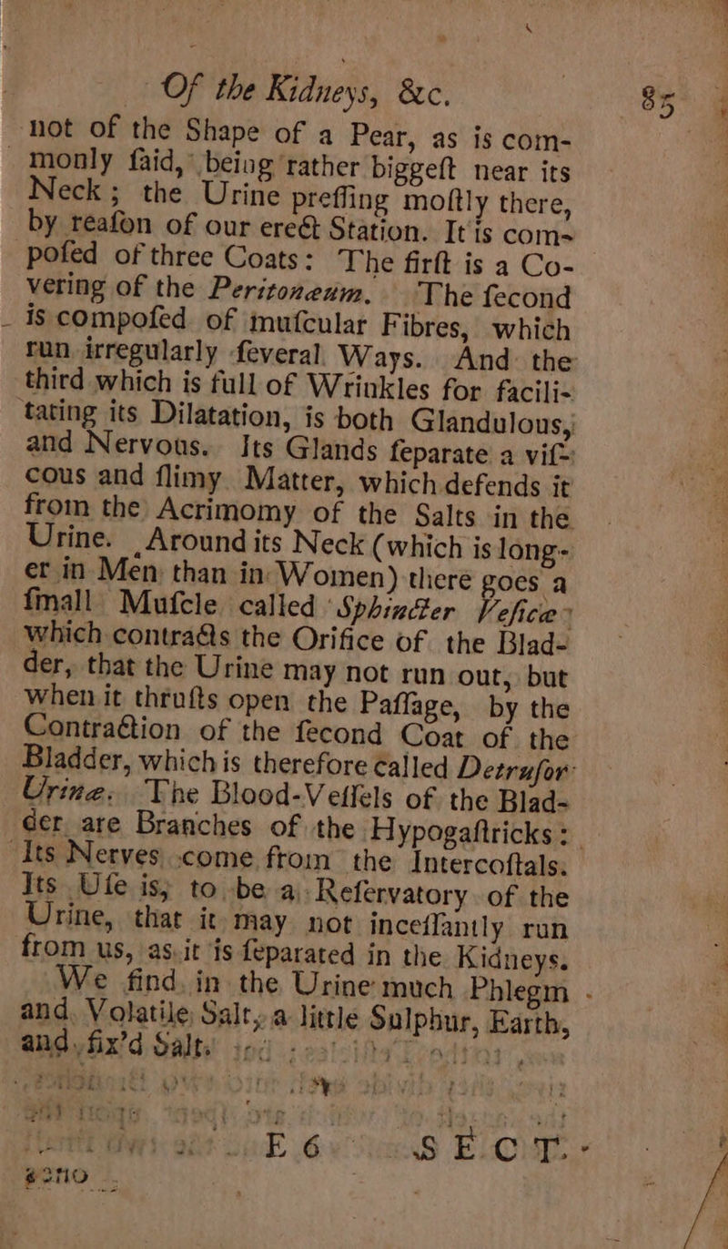Of the Kidneys, 8c. Neck; the Urine prefling moftly there, pofed of three Coats: The firft is a Co- vering of the Peritozewm. The fecond is compofed. of imufcular F ibres, which third which is full of Wrinkles for facili~ cous and flimy Matter, which defends it Urine. Around its Neck (which is long- et in Men: than in’ Women) there goes a {mall Mufcle called Sphinder Vefice” which contraéts the Orifice of the Blad- der, that the Urine may not run out, but when. it thrufts open the Paffage, by the Contra&amp;tion of the fecond Coat of the Oring. The Blood-Vellels of the Blad- Its Ule is; to be a Refervatory. of the Urine, that it-may not inceflantly run from us, as.it is feparated in the Kidneys. and, Volatile Salt, a little Sulphur, Earth, and /fix’d Salts: io -23'.494 Aiea ek gee of 90 fet t&gt;* b ieee #2no _. e /