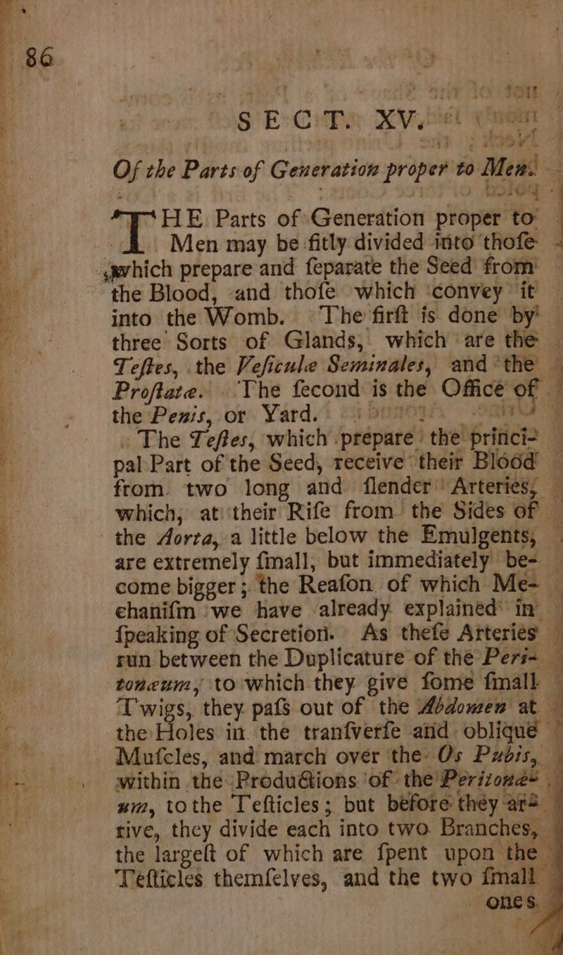 oe RN ot 5 pen =a a aS eee oS wt» &lt;&lt; ,  é SE Cithy RV net nee * . ; : THE Parts of Generation proper to - Men may be fitly divided into thofe the Blood, and thofe which ‘convey it Proftare. ‘The fecond is the Office of | the Pezis, or Yard. eu eat the Aorta, a little below the Emulgents, are extremely fmall, but immediately be- the Holes in. the tranfverfe atid. oblique” Mufcles, and march over ‘the: Os Pzdis,. um, tothe Tefticles; but before they a5 tive, they divide each into two Branches, © the largelt of which are fpent upon the — Tefticles themfelves, and the two fmall — ones.