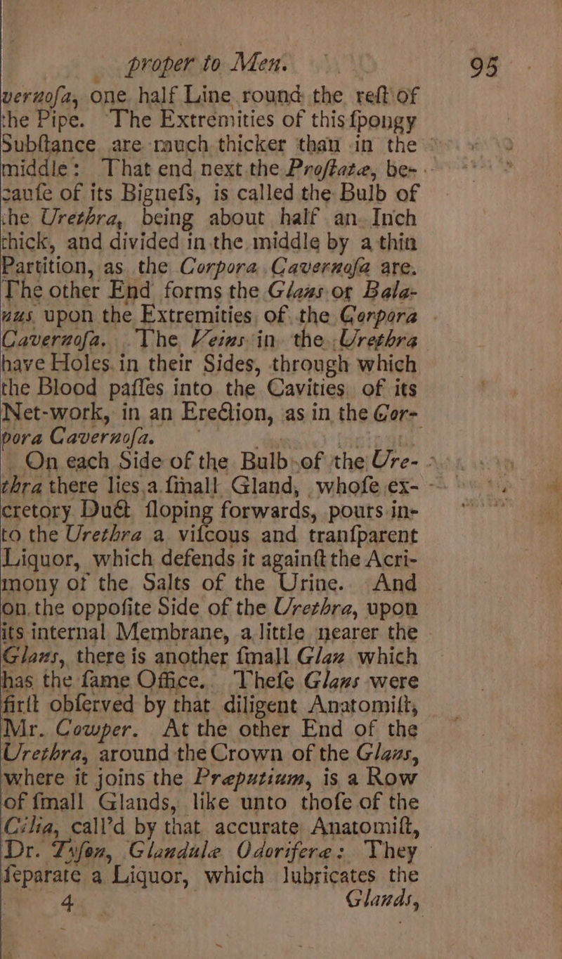 vernofa, one. half Line round the reft\of the Pipe. “The Extremities of this {pongy Subftance are rauch thicker than in the saute of its Bignefs, is called the Bulb of the Urethra, being about half an. Inch chick, and divided in-the middle by a thin Partition, as the Corpora .Caveruofa are. The other End forms the Glas or Bala- Cavernofa. The Veins in. the Urethra have Holes. in their Sides, through which the Blood paffes into the Cavities. of its pora Cavernofa. cretory Duét flopi forwards, pours in- to the Urethra a Le A and. tran{parent Liquor, which defends it againft the Acri- mony of the Salts of the Urine.. And on.the oppofite Side of the Urethra, upon Glaus, there is another fmall Glaz which has the fame Office.. Thefe Glaus were firlt obferved by that diligent Anatomitt, Mr. Cowper. At the other End of the Urethra, around the Crown of the Glaas, where it joins the Preputinm, is a Row of fmall Glands, like unto thofe of the Cilia, call’d by that accurate Anatomitt, Dr. Tifex, Glandule Odorifere: They feparate a Liquor, which lubricates ie
