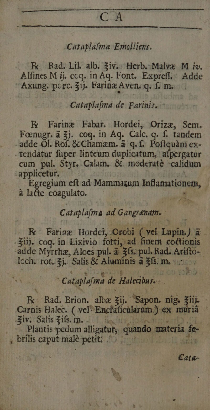 -Catapla(ma Emolliens. K Rad. Lil alb. ziv. Herb. Malvz .M iv. Alfines M ij. ccq. in Aq. Font. Expreff, Adde Axung. porc. 3ij. Farinz Aven. q. f. m. Catapla[ma de. Farinis. - EK Farinz Fabar. Hordei, Orizz, Sem. Foenugr. à 2j. coq. in Aq. Calc. q. f. tandem - adde Ol. Rof. & Chamam. a q.f. Poflquàm ex- - .tendatur fuper linteum duplicatum, afpergatur cum pul. Styr, Calam. .& moderate calidum applicetur. Egregium eft ad Mammagum Infiamationen, à latte cóagulato. * bc Cataplafma ad Gangrenam. K Fariex Horde, JOrobi- ( vel. Lapin. ) TRE fij. coq. in Lixivio fotti,- :ad finem coctionis adde Myrrhz, Aloes pul. à: 3f. p pul. Rad. APIS loch. rot. £j. Salis & Mai iid azfssm-- - Cataplaf ma de Halecus.- Kc Rad. Brion. albx 5. Bapon. ni nig. i4 ; Carnis Halec. ( vel* Encki chic. ex m : iv. Salis gifs. m... | d Plantis pedum aligatur pando. Mes fe , brilis caput niale petit: .' S Cata-