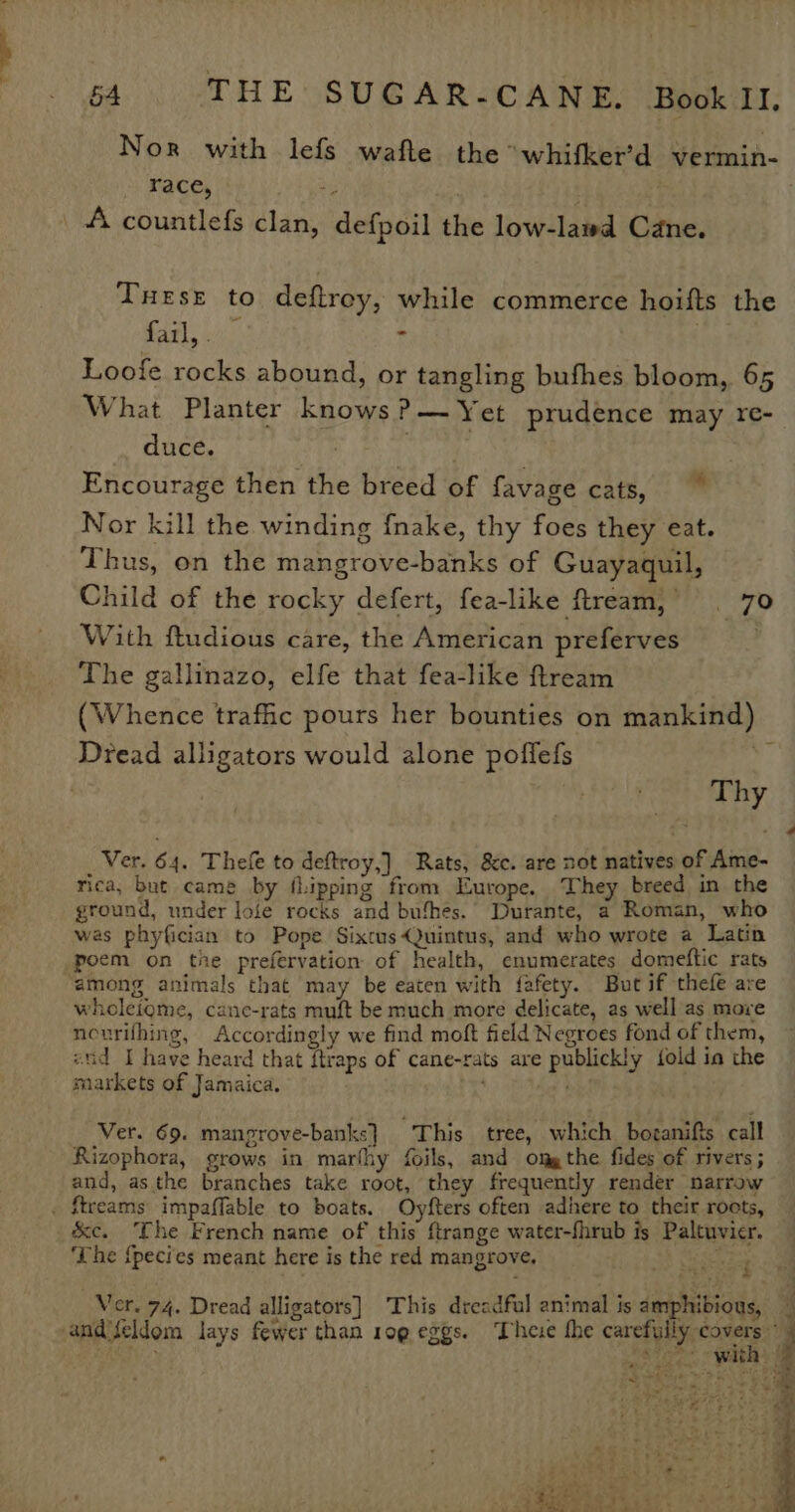 Nor with lefs wafte the °“whitker’d Vermin- race, ‘3 A countlefs clan, defpoil the low-lawd Cane. THESE to deftrey, while commerce hoifts the cas) : Loofe rocks abound, or tangling bufhes bloom, 65 What Planter knows ?— Yet prudence may re- duce. Encourage then the breed of favage cats, Nor kill the winding f{nake, thy foes they eat. Thus, on the mangrove-banks of Guayaquil, Child of the rocky defert, fea-like ftream, | 70 With ftudious care, the American preferves | The gallinazo, elfe that fea-like ftream ‘ Dread alligators would alone poffefs | Thy _ Ver. 64. Thefe to deftroy,] Rats, &amp;c. are not natives of Ame- rica, but came by flipping from Europe. They breed in the ground, under lofe rocks and bufhes.. Durante, a Roman, who was phyfician to Pope Sixtus Quintus, and who wrote a Latin poem on the prefervation of health, enumerates domeftic rats among animals that may be eaten with fafety. But if thefe are wholeiome, cane-rats muft be much more delicate, as well as more nourifhing, Accordingly we find moft field Negroes fond of them, wid I have heard that {traps of cane-rats are publickly {old ia the markets of Jamaica. pm Ver. 69. mangrove-banks} This tree, which boeanifts call Rizophora, grows in marfhy foils, and omg the fides of rivers ; and, asthe branches take root, they frequently render narrow _ ftreams impaffable to boats. Oyfters often adhere to their rocts, &amp;c. The French name of this ftrange water-fhrub is Paltuvier. ‘The {pecies meant here is the red mangrove. 2) Sige Ver. 74. Dread alligators] This dreadfal animal is amphibious, and feldom lays fewer than 10g eggs. These the carefully covers We RO CRER si) a ee \ q ‘ 4 am) .