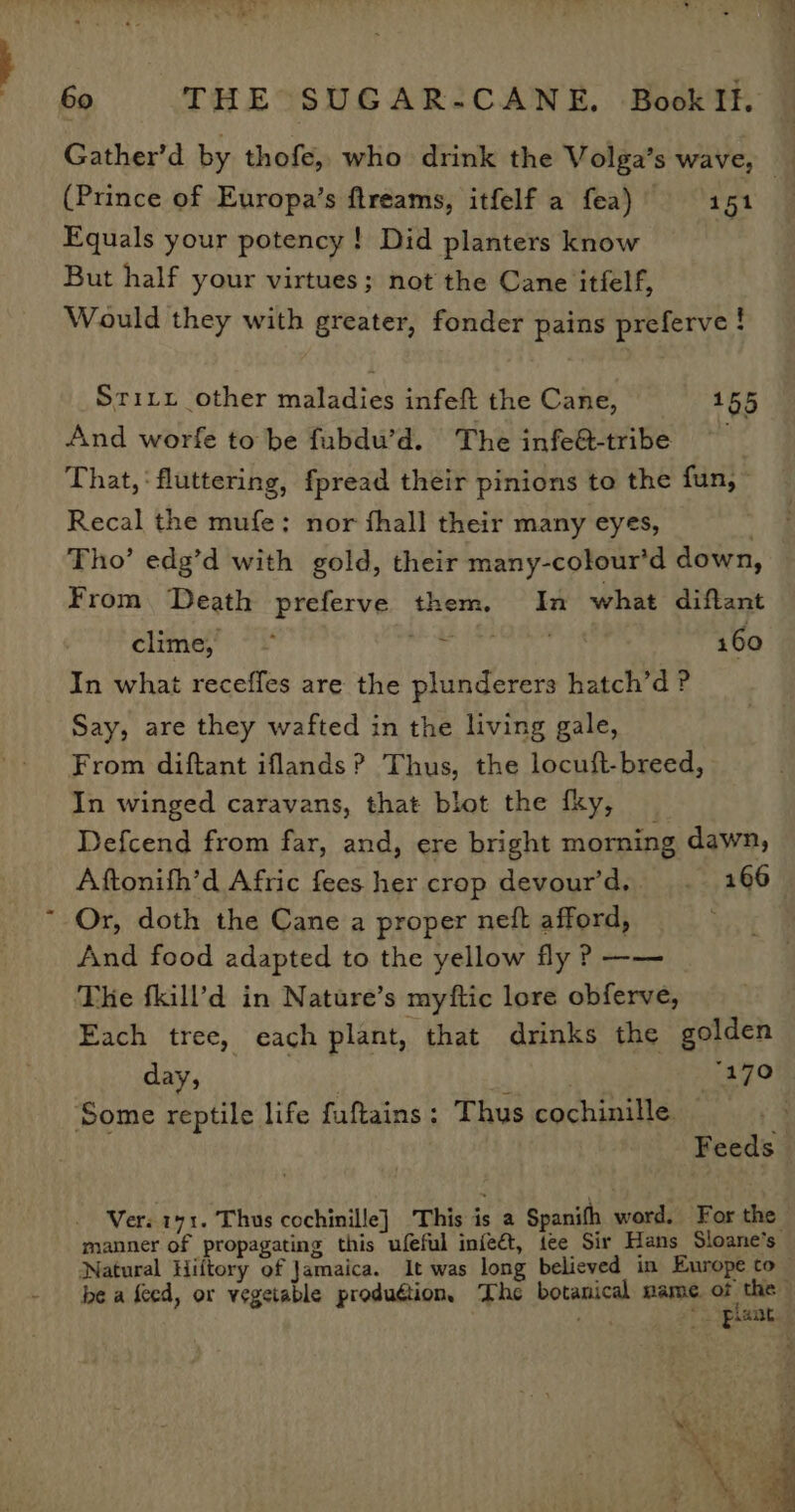(Prince of Europa’s ftreams, itfelf a fea) 151 Equals your potency! Did planters know But half your virtues; not the Cane itfelf, Would they with greater, fonder pains preferve ! Sritxt other maladies infeft the Cane, 155 And worfe to be fubdu’d. The infe&amp;-tribe That, ‘fluttering, fpread their pinions to the fun, ~ Recal the mufe; nor fhall their many eyes, | Tho’ edg’d with gold, their many-colour’d down, From. Death preferve them. In what diftant climes’: -‘f' gh i iia 160 In what receffes are the plunderers hatch’d ? Say, are they wafted in the living gale, From diftant iflands? Thus, the locuft-breed, In winged caravans, that blot the fky, Defcend from far, and, ere bright morning dawn, Aftonifh’d Afric fees her crop devour’d, . 166 Or, doth the Cane a proper neft afford, And food adapted to the yellow fly ? —— The fkill’d in Nature’s myftic lore obferve, Each tree, each plant, that drinks the golden day, | ; bey (170 Some reptile life fuftains: Thus cochinille _ Feeds Ver. 141. Thus cochinille] This is a Spanith word, For the