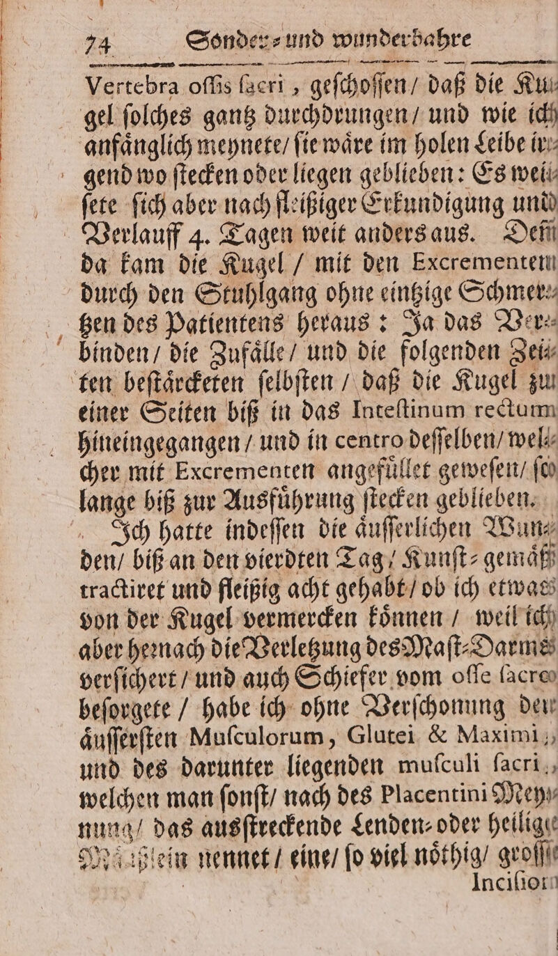 Vertebra ofis ſacri, geſchoſſen / daß die Ku gel ſolches gantz durchdrungen / und wie ich ſete ſich aber nach fleißiger Erkundigung und durch den Stuhlgang ohne eintzige Schmerz einer Seiten biß in das Inteſtinum rectum hineingegangen / und in centro deſſelben / wel cher mit Excrementen angefuͤllet geweſen / ſe⸗ lange biß zur Ausführung ſtecken geblieben. Ich hatte indeſſen die Aufferlihen Wun⸗ den / biß an den vierdten Tag / Kunft gemäß tractiret und fleißig acht gehabt / ob ich etwas von der Kugel vermercken koͤnnen / weil ich aber heꝛnach die Verletzung des Maſt⸗Darms verſichert / und auch Schiefer vom oſſe (acre beſorgete / habe ich ohne Verſchonung den aͤuſſerſten Muſculorum, Glutei &amp; Maximi,, und des darunter liegenden mufculi facri,, welchen man ſonſt / nach des Placentini Mey nung / das ausſtreckende Lenden⸗oder heilige: Maaßlein nennet / eine / fo viel noͤthig / groſſſ | | Inciſiot