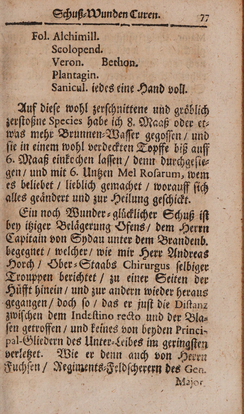 Fol. Alchimill. ** Scolopend. Veron. Bethon. 8 Plantagin. Sanicul. iebes eine Hand voll. Auf dieſe wohl zerſchnittene und groͤblich zerſtoßne Species habe ich 8. Maaß oder et⸗ was mehr Brunnen⸗Waſſer gegoſſen / und ſie in einem wohl verdeckten Topffe biß auff 6. Maaß einkochen laſſen / denn durchgeſie⸗ gen / und mit 6. Untzen Mel Roſarum, wem es beliebet / lieblich gemachet / worauff ſich alles geaͤndert und zur Heilung geſchickt. Ein noch Wunder ⸗gluͤcklicher Schuß iſt bey itziger Belaͤgerung Ofens / dem Herrn Capitain von Sydau unter dem Brandenb. begegnet / welcher / wie mir Herr Andreas Horch / Ober⸗Staabs Chirurgus ſelbiger Trouppen berichtet / zu einer Seiten der Huͤfft hinein / und zur andern wieder heraus gegangen / doch ſo / das er juſt die Diftanz zwiſchen dem Indeſtino recto und der Bla⸗ fen getroffen / und keines von beyden Princi- pal. Gliedern des Unter⸗Leibes im geringſten verletzet. Wie er denn auch von Herrn Fuchſen / Jegiments⸗Feldſcherern des Gen. e Major.