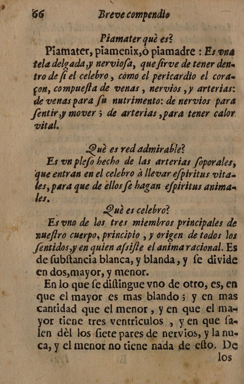 DS 66 Breve compendio s Piamater que es? SEN Piamater, piamenix,o piamadre : Es ona tela delgada y nerviofa, que firve de tener dena tro de ft el celebro, cómo el pericardio el cora= pon, compuefta de venas , nervios ,y arterias: de venas para fu nutrimento: de nervios para fentir y mover 5 de arterias ,para tener calor. vital. Qu? es red admirable? Es un plefo hecho de las arterias foporales, que entran en el celebro a llevar efpiritus vitaa les, para que de ellos fe hagan efpiritus animas Jes, Qué es celebro? Esvno de los tres miembros principales de nuefiro cuerpo, principio , y origen de todos los Jensidos y en quien afsifie el anima racional. Es de fubítancia blanca, y blanda, y le divide en dos,mayor, y menor. 5 En lo que [e diltingue vno de otro, es, en que el mayor es mas blando ; y en mas cantidad que el menor , y en que. el ma= yor tiene tres ventrículos , y en que (as len del los fiete pares de nervios, y la nue ca, y el menor no tiene nada de VA ul | OS E €.