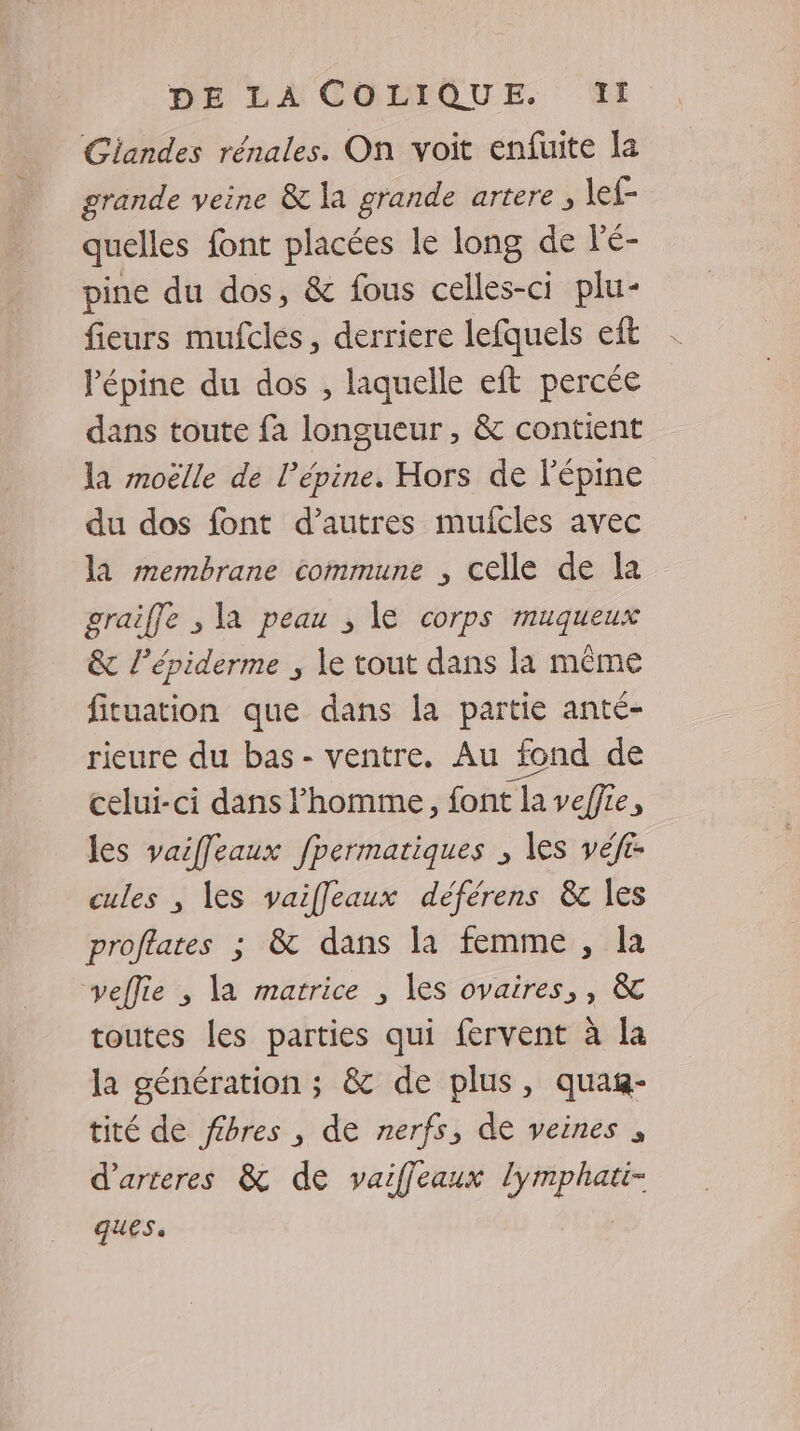 Giandes rénales. On voit enfuite la grande veine &amp; la grande artere , lef- quelles font placées le long de l'é- pine du dos, &amp; fous celles-ci plu- fieurs mufcles, derriere lefquels eft Pépine du dos , laquelle eft percée dans toute fa longueur , &amp; contient la moëlle de l’épine. Hors de l'épine du dos font d’autres mufcles avec la membrane commune , celle de la graiffe , la peau ; le corps muqueux &amp; l’épiderme , le tout dans la même fituation que dans la partie anté- rieure du bas- ventre. Au fond de celui-ci dans l’homme, font la veffie, les vaiffeaux fpermatiques , les véft- cules , les vaiffeaux déférens &amp; les proffates ; &amp; dans la femme , la veflie , la matrice , les ovaires, , &amp; toutes les parties qui fervent à la la génération ; &amp; de plus, quag- tité de fibres , de nerfs, de veines , d’arteres &amp; de vaiffeaux lymphati- ques.