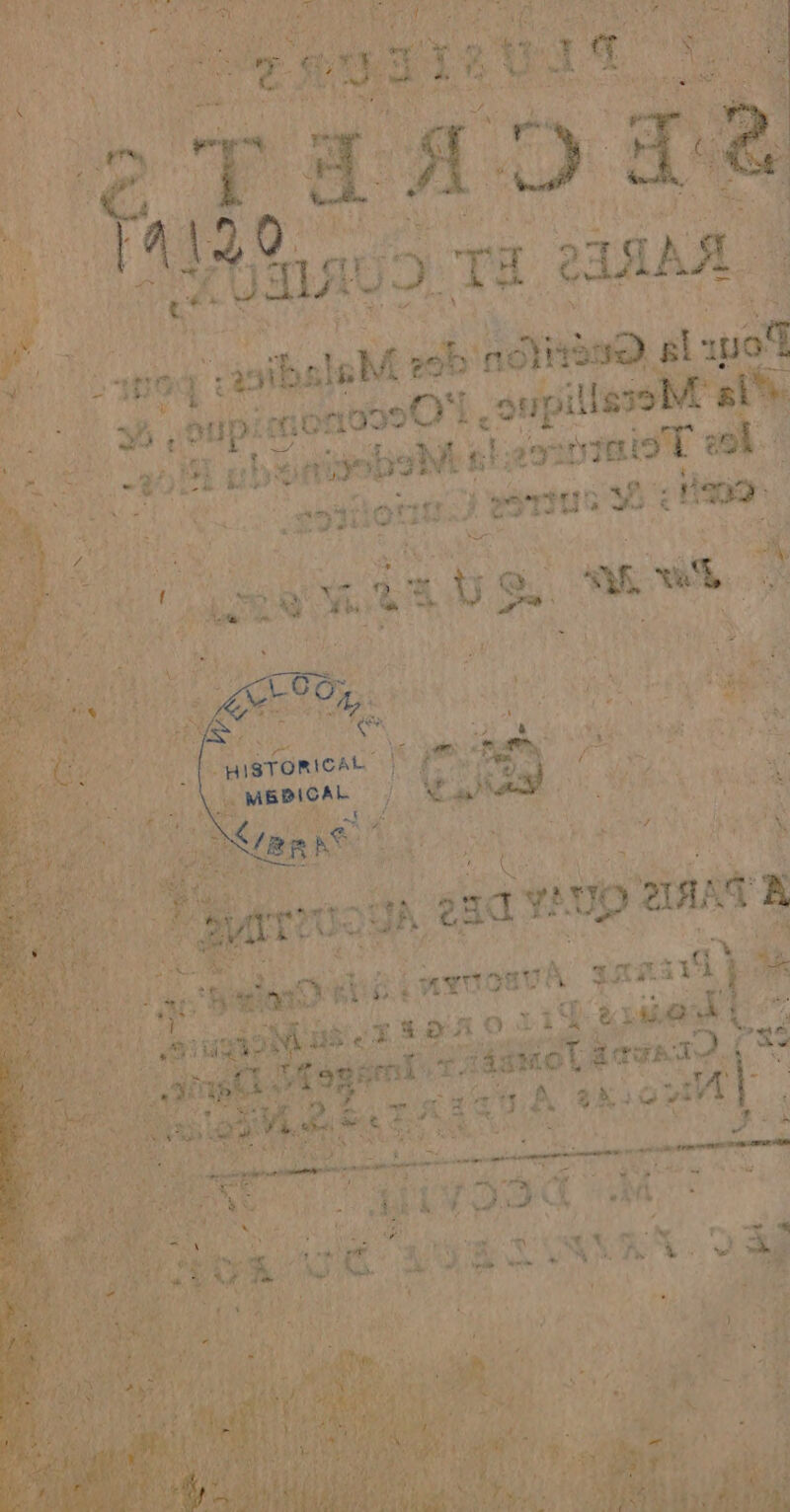a im: A Ee. queen # cu 4) ik LharisbaMt st: JnmioT 2 nan ie 8040 hot} eus cn nette aus | nytouuÀ ‘ann 0 Den dn 0.1 31% set ot ï . sam ot Romano. ( al a ral Fe