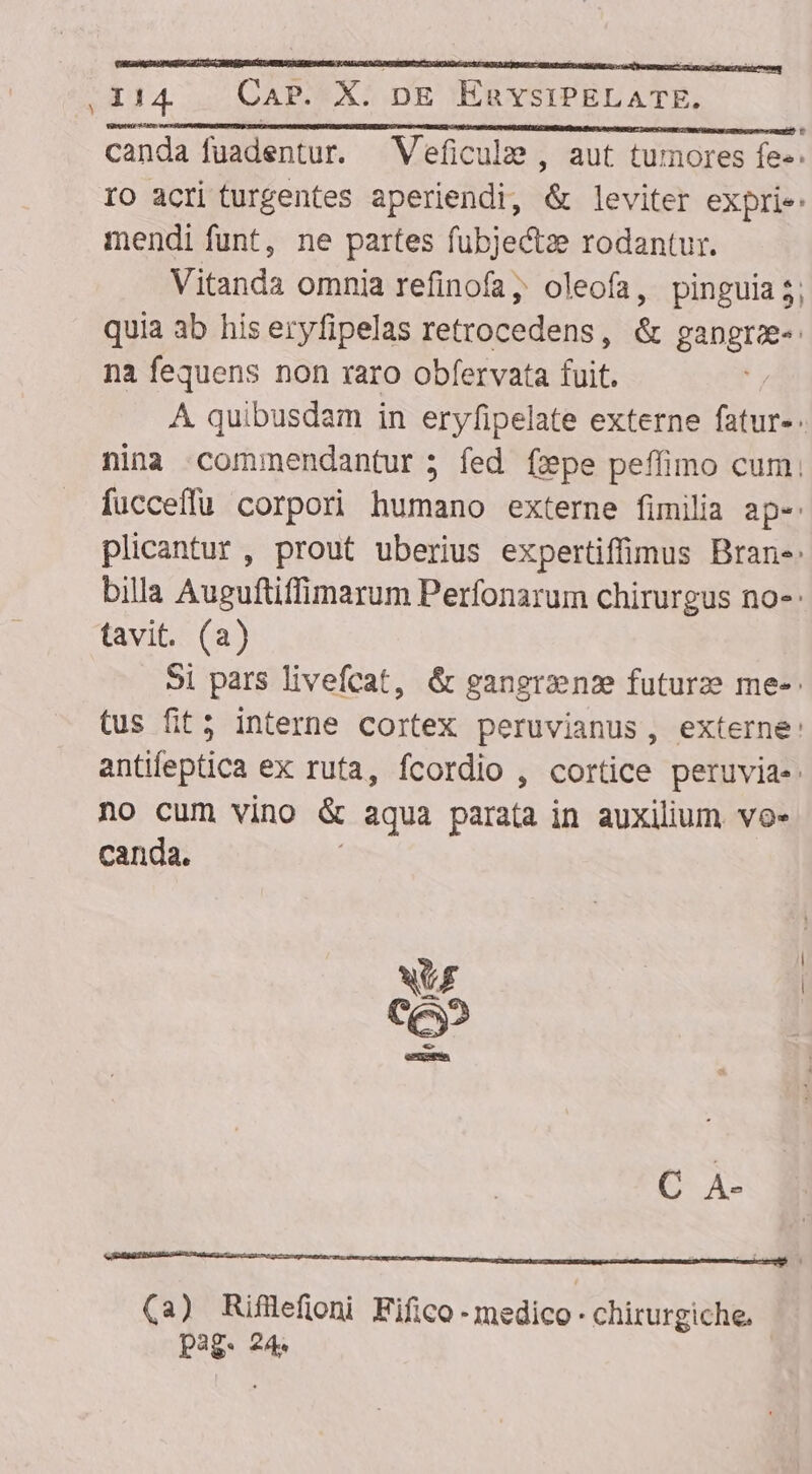 LI canda füadentur. Veficule , aut tumores fes. IO acriturgentes aperiendi, &amp; leviter expri: mendi funt, ne partes fubjectee rodantur. Vitanda omnia refinofa oleofa, pinguia 5; quia ab his eryfipelas retrocedens, &amp; gangrz- na fequens non raro obfervata fuit. A quibusdam in eryfipelate externe fatur-. nina commendantur ; fed fxpe peffimo cum; fucceffu corpori humano externe fimilia ap-: plicantur, prout uberius expertiffinus Bran-: billa Auguftiffimarum Perfonarum chirurgus no-: tavit. (2) 5i pars livefcat, &amp; gangrznz futurze me-: tus fit; interne cortex peruvianus, externe: antifeptica ex rufa, fcordio , cortice peruvias no cum vino &amp; aqua parata in auxilium vo- canda. LUZ 4 ce QUE (a) Riflefioni Fifico -medico- - chirurgiche. pag. 24: