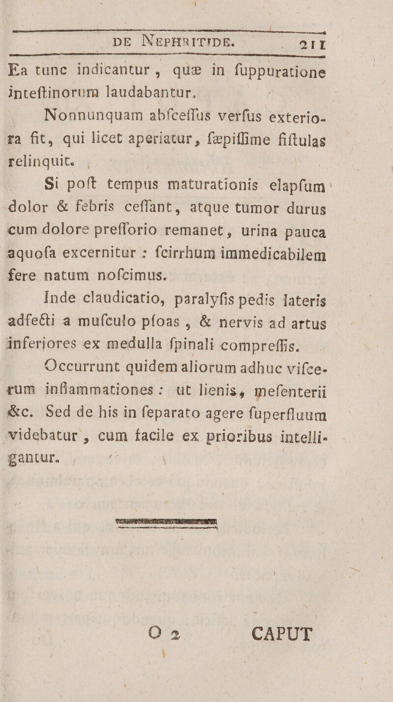 Ea tunc indicantur, qus in fuppuratione inteftinorum laudabantur. : Nonnunquam abfceffus verfus exterio- qa fit, qui licet aperiatur, — Auge relinquit. | |... $i poft tempus miaturationis elapfum dolor & febris ceffant, atque tumor durus cum dolore prefforio remanet, urina pauca aquofa excernitur : fcirrhum immedicabilem fere natum nofcimus. | Inde claudicatio, paralyfis pedis lateris adfetcti a muículo pfoas , & nervis ad artus inferiores ex medulla fpinali compreffis. Occurrunt quidem aliorum adhuc viíce- «um inflammationes: ut lienis, mefenterii &c. Sed de his in feparato agere füperfluum videbatur , cum facile ex prioribus intelli- gantur, , jf | | O 2 CAPUT