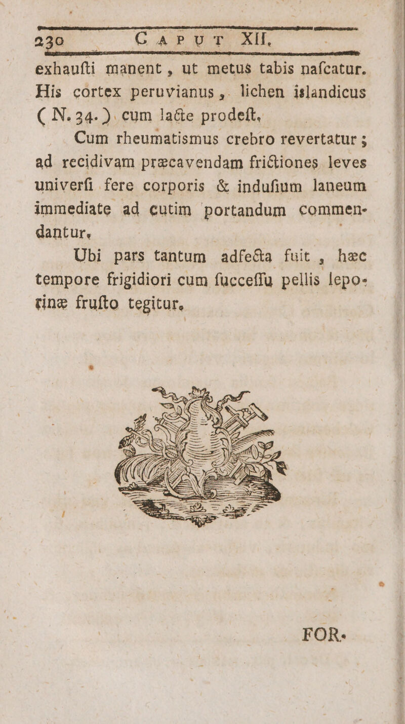 [er o3 — CATUOT XIL | exhaufti manent , ut metus tabis nafcatur. His cortex peruvianus ,. lichen islandicus ( N. 34.) cum la&e prodeft, —.. Cum rheumatismus crebro revertatur 3 ad recidivam precavendam fri&iones leves univerfi fere corporis & indufium laneum immediate ad cutim portandum commen- dantur, | 1 Ubi pars tantum adfe&a fuit , hec tempore frigidiori cum fücceffu pellis lepo- ring frufto tegitur, FOR-