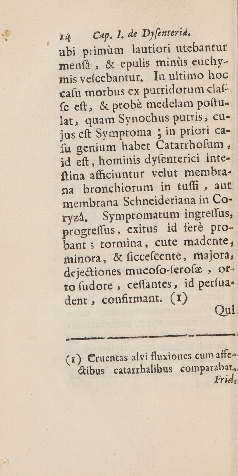 ubi primüm lautiori utebantur meníà, & epulis miniis euchy- mis veícebantur, In ultimo hoc ca(íu morbus ex putridorum claf- fe cít, & probé medelam pottu- lat, quam Synochus putris, cu- jus eft Symptoma 5 in priori ca» fu genium habet Catarrhofum , id eft, hominis dyfenterici inte» - (tina afficiuntur velut membra- na bronchiorum in tuffi , aut membrana Schneideriana in Co- ryzà, Symptomatum ingreffus, progreffus, exitus id feré pro- bant ; tormina, cute madente; minora, & ficceféente, majora; deje&iones mucofo-feroíz , or- to fudore , ceffantes, id períua- dent, confirmant. (I) Qui (1) Cruentas alvi fluxiones cum affe &ibus catarrhalibus comparabat, Frid,