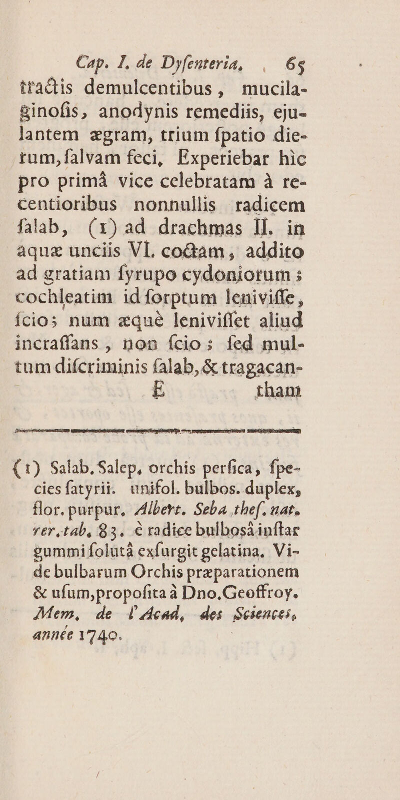 tradis demulcentibus, mucila- ginofis, anodynis remediis, eju- lantem zgram, trium fpatio die- rum,falvam feci, Experiebar hic pro primá vice celebratam à re- centioribus nonnullis radicem falab, (1x) ad drachmas Il. in aquz unciis VI. codam , addito ad gratiam fyrupo cydoniorum ; cochleatim id forptum leniviffe, ícios num zqué leniviffet aliud incraffans , non ício; fed mul- tum diícriminis (alab, &tragacan- tham (1) Salab. Salep, orchis perfica, fpe- ciesfatyrii. unifol. bulbos. duplex, flor. parpur, ZAlibert. Seba thef. uat. rer.tab, 83. € radice bulbosáinftar gummi folutà exfurgit gelatina, Vi- de bulbarum Orchis przparationem & ufum,propofita à à Dno.Geoffroy. Mem, de lzcad, de: Seientes, année 1140.