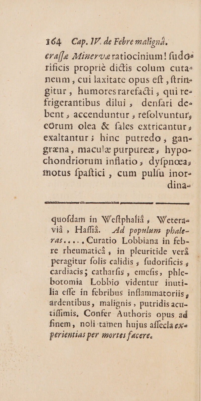eraj]e Minerva ratiocinium! fudoe rificis proprié dictis colum cuta neum , cui laxitatc opus eft , ftrirt: gitur, humoresrarefacti , qui re» frigerantibus dilui , denfari de» bent , accenduntur , refolvuntur, córum olea &amp; files extricantur; exaltantur; hinc putredo, gan- grana, naculz purpuürez, hypo- - chondriorum inflatio; dyfpnoea; inotus fpaftici , cum pulíu inor- dina- p CE QGEYUESNOSSACONSRRSRRUNRARÜT quofdam in Weflphalii , Weteras viá , Haffia. — 4d populum: phale- 4$... , Curatio Lobbiana in feb- re rheumatici, in pleuritide verá peragitur folis calidis ; fudorificis ; cardiacis; catharfis , emcíis, phle- botomia Lobbio videntur inuti- lia effe ín febribus inflammatoriis, ardentibus, malignis , putridis acu- tiffimis, Confer Authoris opus ad finem, noli-tamen hujus affecla ex« perientias per mortes facere.