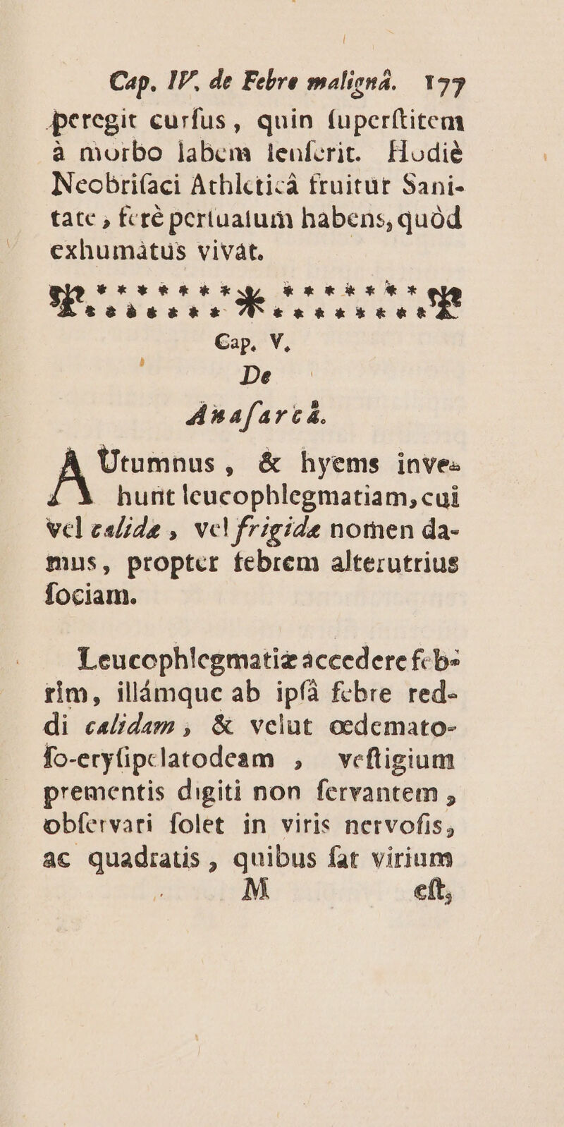 ] Cap. IP, de Febre maliená. 173 peregit curfus, quin (uperítiteam à morbo labem lenferit. Hodié Neobri(aci Athlcticà fruitur Sani- tatc , fcré pertuatum habens, quód exhumátus vivát, | XXX ko o de eR &amp; &amp; b &amp; &amp; &amp; € ko k kk k k&amp;&amp; Cap. V, à De Anafar cá. Utumnus, &amp; hyems inve- hunt lcucophlegmatiam, cui vcleslide , vcl frigide nomen da- mus, propter febrem alterutrius fociam. Leucophlegmatiz accedere fcb- rim, illáàmque ab ipfà febre red- di calidam , &amp; velut oedemato- fo-eryfipclatodeam , veftigium prementis digiti non fervantem ; obfervari folet in viris nervofis; ac quadratis , HUIUS fat virium ; eft,