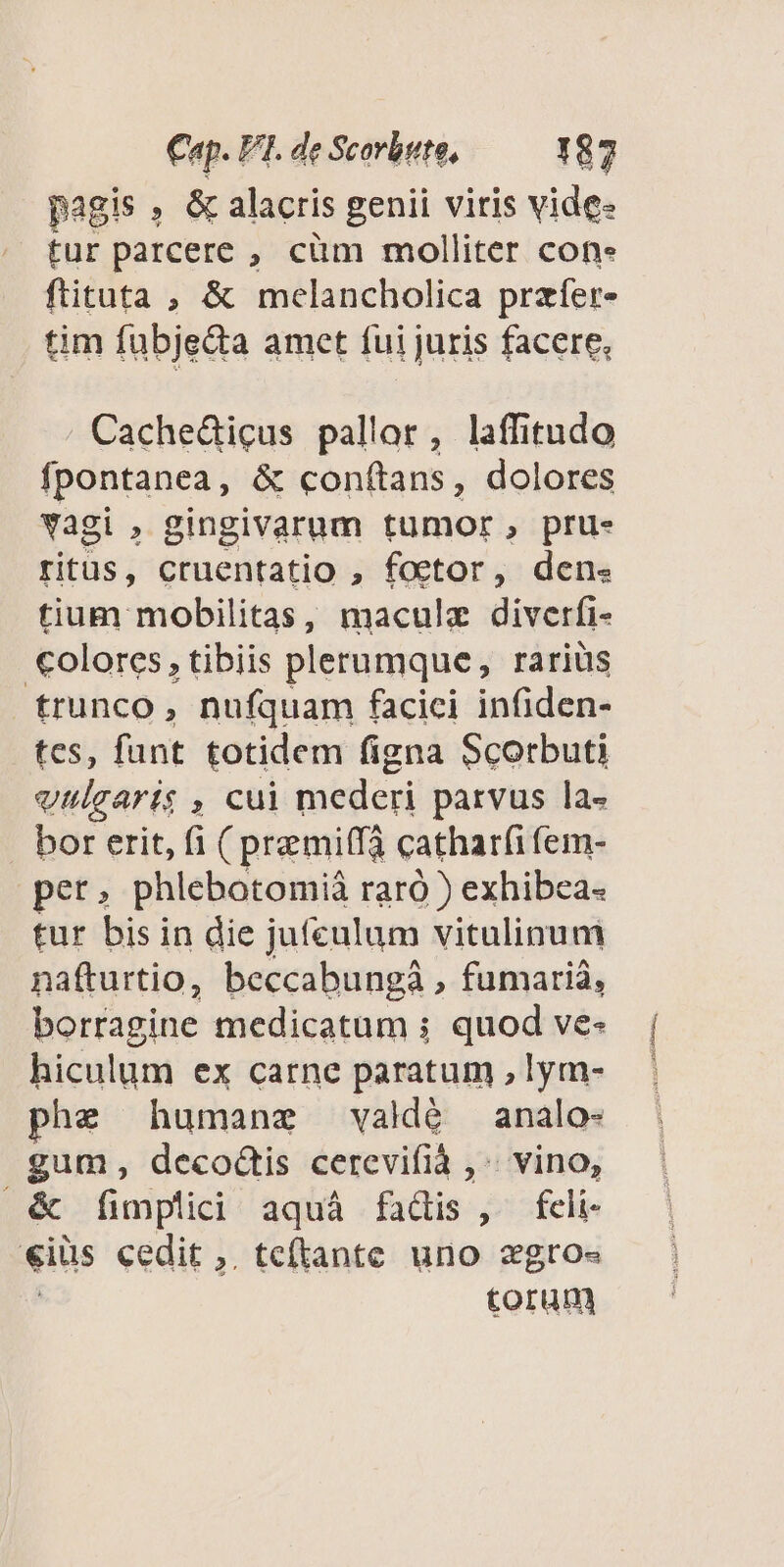 pagis , &amp; alacris genii viris vide. tur parcere , cüm molliter con. ftituta , &amp; melancholica przfer- tim fubjeda amet fui juris facere, Cachedigus pallor, laffitudo fpontanea, &amp; conftans, dolores vagi , gingivarum tumor, pru. ritus, cruentatio , foetor, den« tium mobilitas, maculz diverfi- colores, tibiis plerumque, rariüs trunco , nufquam facici infiden- tes, funt totidem figna Scorbuti vulgaris , cui mederi parvus la- bor erit, fi ( premiff3 catharfi fem- per, phlebotomià raró ) exhibea- tur bisin die jufculum vitulinunmi nafturtio, beccabungà , fumarià, borragine medicatum i quod ve- hiculum ex carne paratum , lym- phe humanz val Idé analo- gum, decoGtis cerevifià , vino, ^ &amp; fimplici aquá facis, fcli- «ius cedit ,. teftante uno zgro« torum