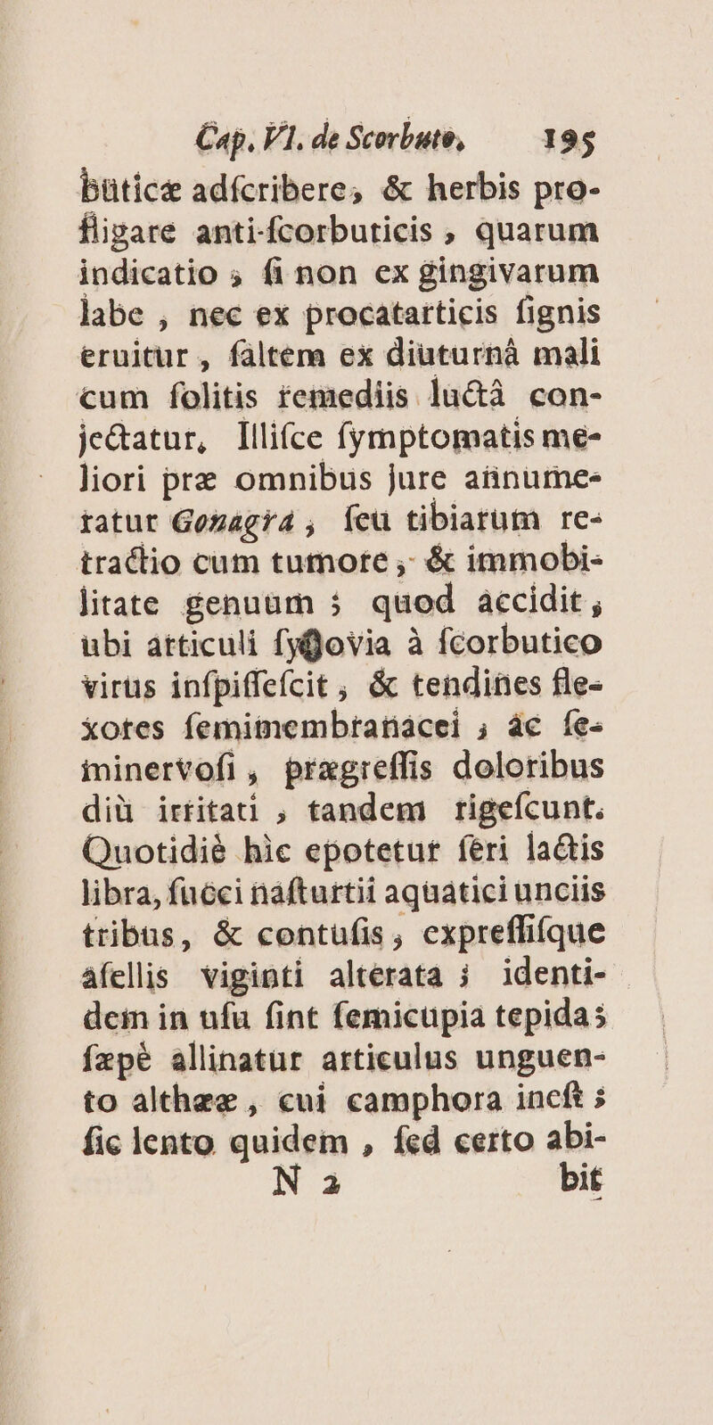 büticze adícribere; &amp; herbis pro- fligare anti-fcorbuticis , quarum indicatio ; fi non ex gingivarum labe , nec ex procatarticis fignis eruitur , faltem ex diuturnáà mali cum folitis remediis luctà con- je&amp;atur, lllifce fymptomatis me- liori prz omnibus jure aüinümee ratur Gezagra4 , Íeu tibiarum re- tractio cum tumore ,; &amp; immobi- litate genuum 5 quod accidit, ubi atticuli fyffovia à fcorbutico virüs infpiffefcit , &amp; tendines fle- Xotes femimembratnacei ; ác íe« ininervofi , pragreffis doloribus diü irtitati ; tandem rigefcunt. Quotidià hic epotetur féri latis libra, fucci nafturtii aqüatici unciis tribus, &amp; contufis, expreffifque afellis viginti alterata i identi- dem in ufa fint femicupia tepidas fepé allinatur articulus unguen- to althze , cui camphora incft ; fic lento quidem , fcd certo abi- N a bit