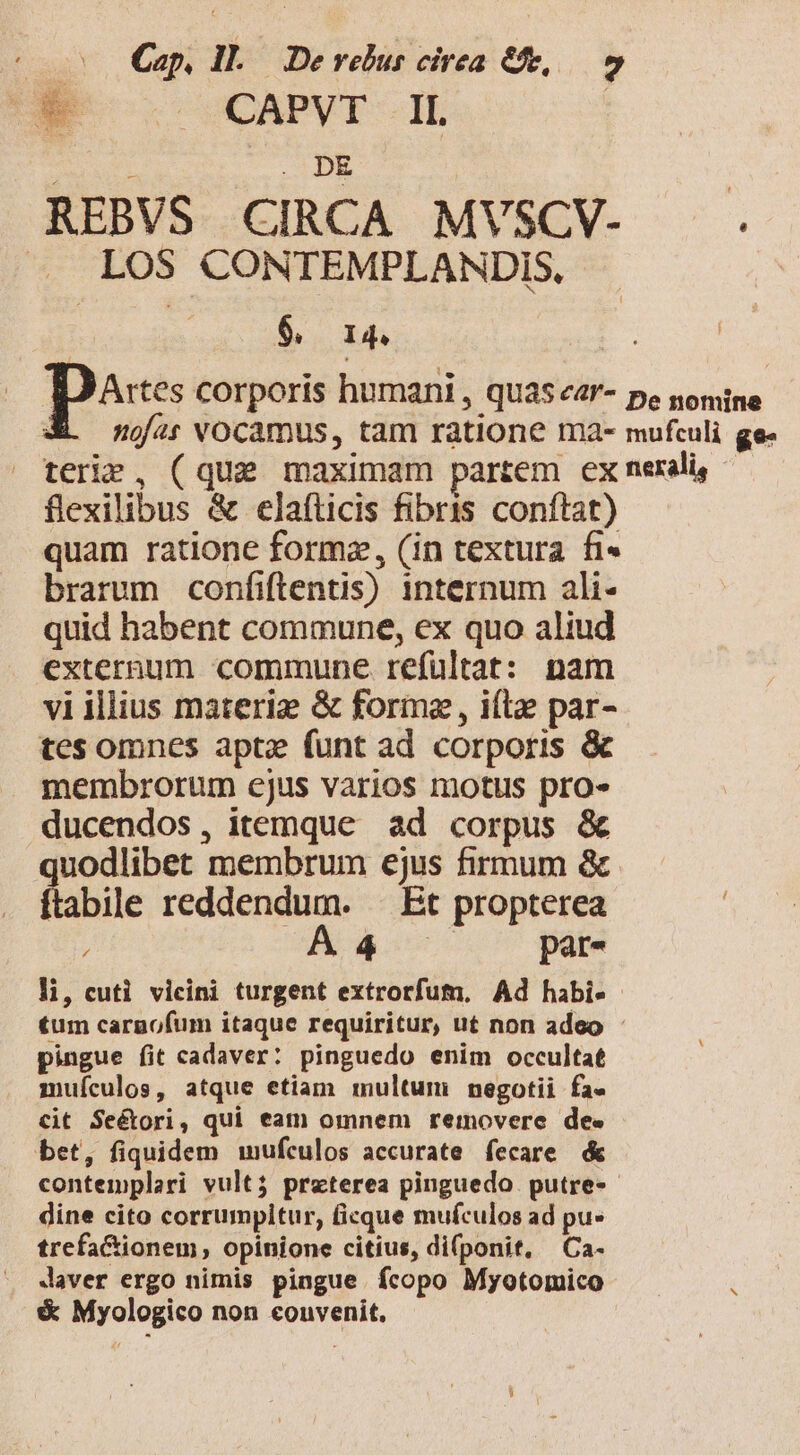 E . CAPVT II | i ODE | REBVS CIRCA MVSCV- . . LOS CONTEMPLANDIS, $. Ip : pase corporis humani , QUAS 4'- pe nomine XL ojat VOCamus, tam ratione ma- mufculi ge- terie, (que maximam partem exnerdi, — flexilibus &amp; elafticis fibris conftat) quam ratione formz, (in textura fi» brarum confiftentis) internum ali- quid habent commune, ex quo aliud externum commune refultat: nam vi illius materie &amp; forma, iílz par- tes omnes aptae funt ad corporis &amp; membrorum ejus varios motis pro» ducendos, itemque ad corpus &amp; quodlibet membrum ejus firmum &amp; ftabile reddendum. — Et propterea Bor par- li, cuti vicini turgent extrorfum. Ad habi-- tum cargofum itaque requiritur, ut non adeo - pingue fit cadaver: pinguedo enim occultat muículos, atque etiam multum: negotii fa- cit Seétori, qui eam omnem reinovere dee bet, fiquidem wmufculos accurate fecare &amp; contemplari vult? preterea pinguedo putre-- dine cito corrumpitur, ficque mufculos ad pu» trefaCtionem, opinione citius, di(ponit, Ca- Javer ergo nimis pingue fcopo Myotomico —— i &amp; Myologico non convenit,